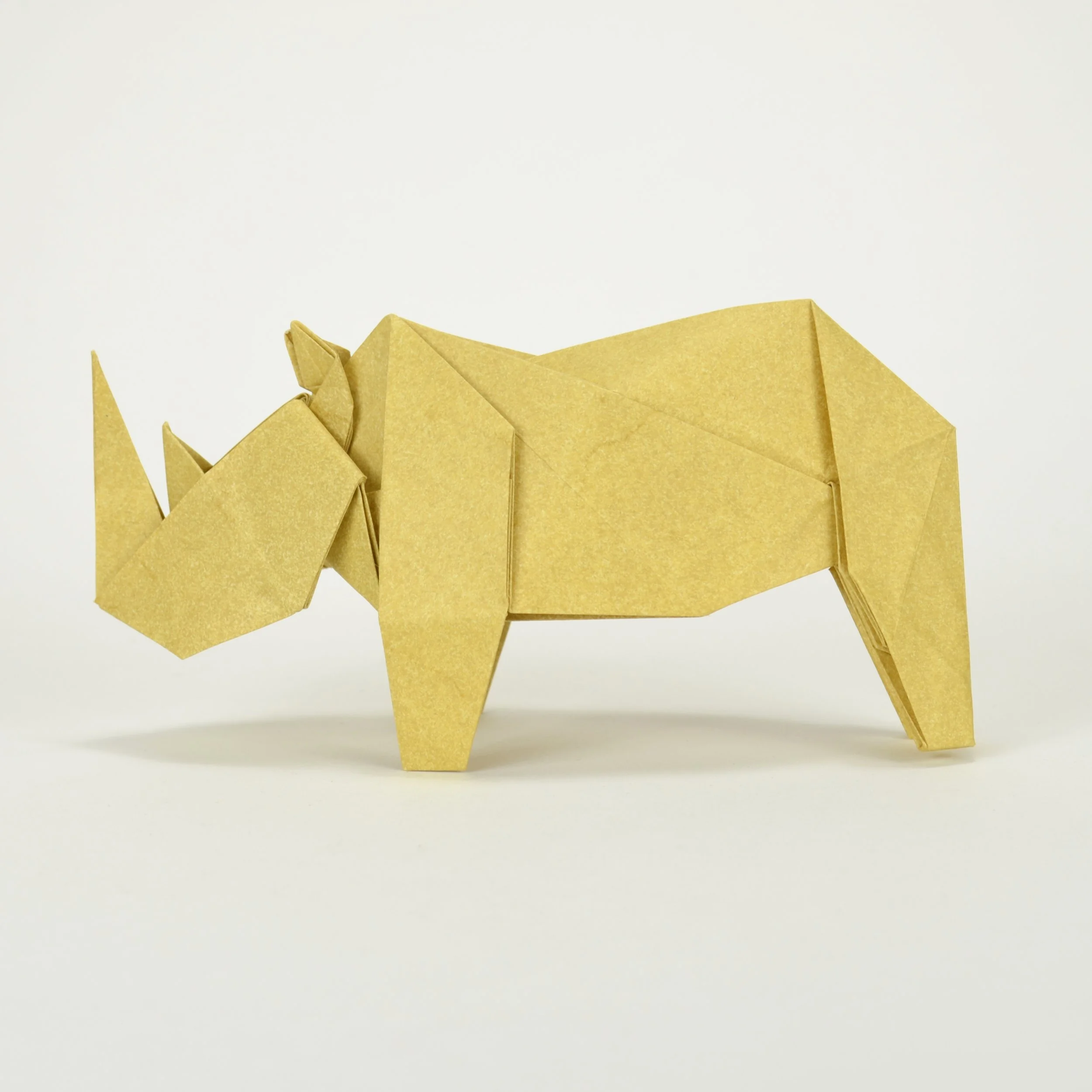 simplerhino1.JPG