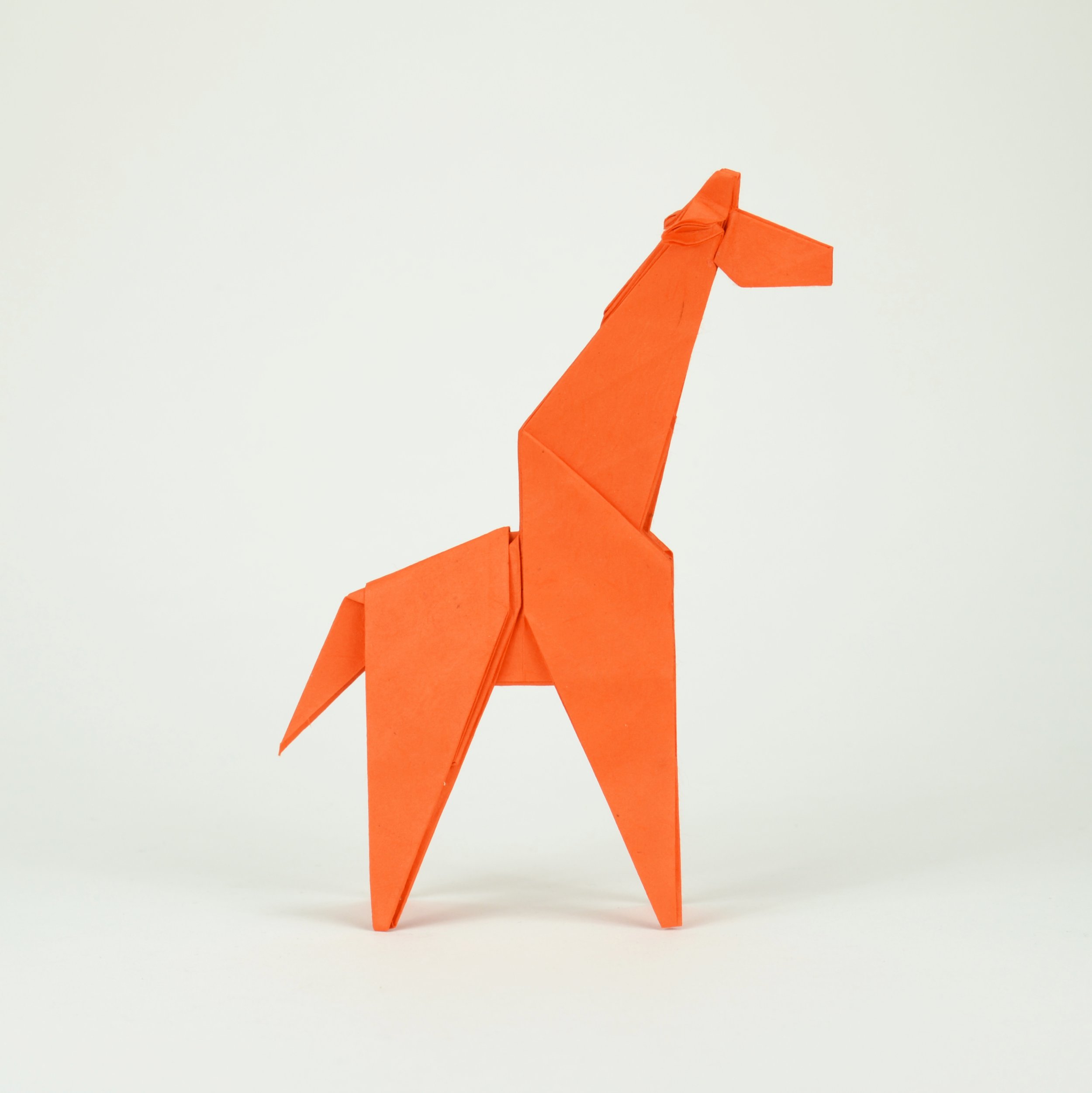 simplegiraffe2.JPG