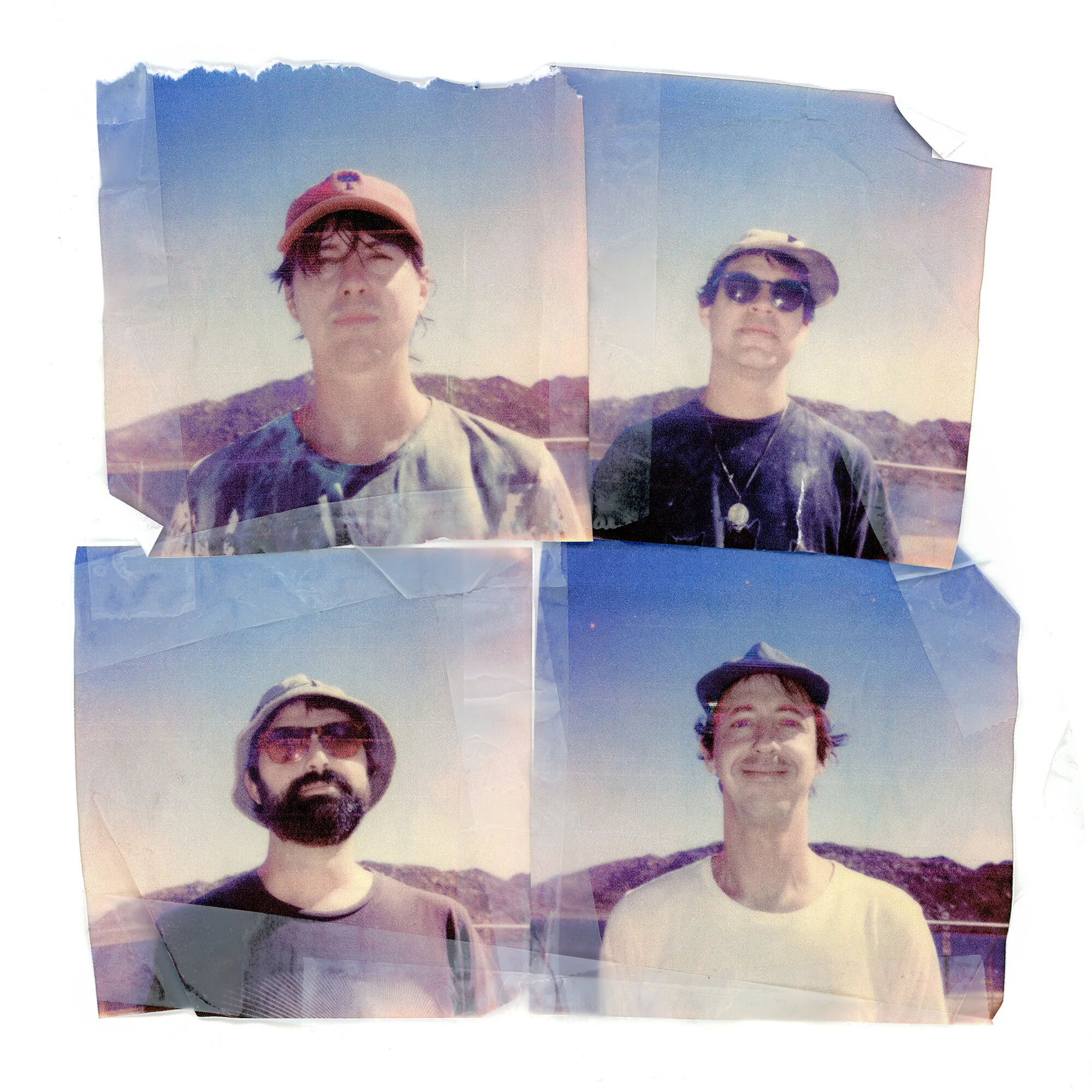  Animal Collective / 2020 