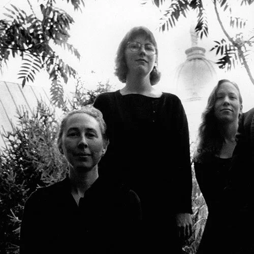 Vermont Violin (Vertical, Trees)