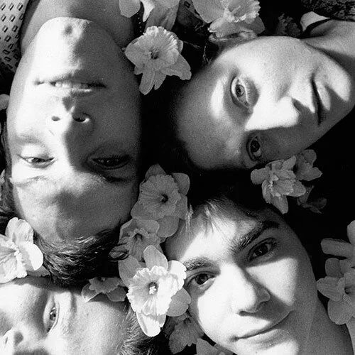 Wide Wail (Flowers)