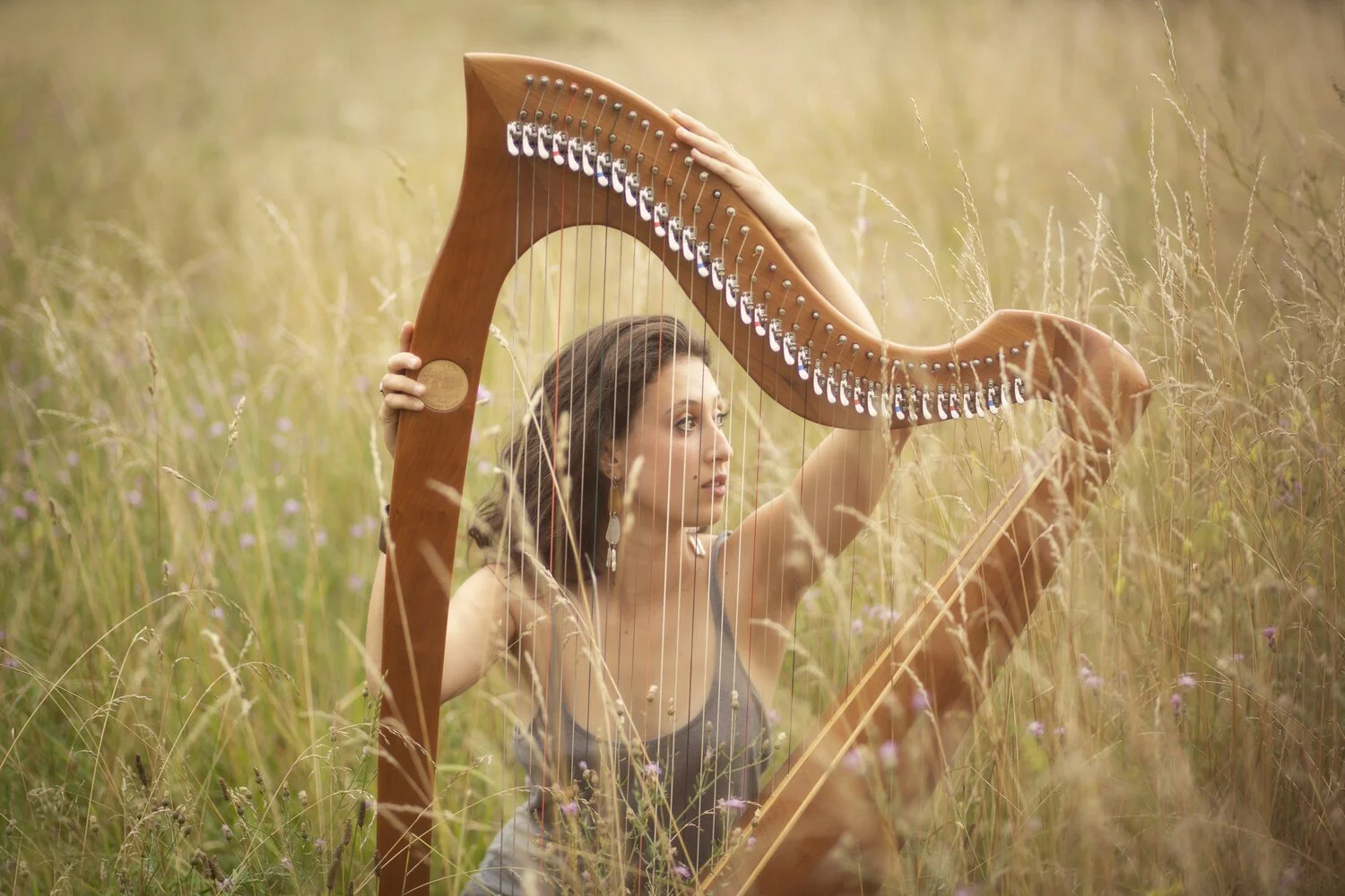 Rachel Clemente - Brooks Memorial Library - Brattleboro