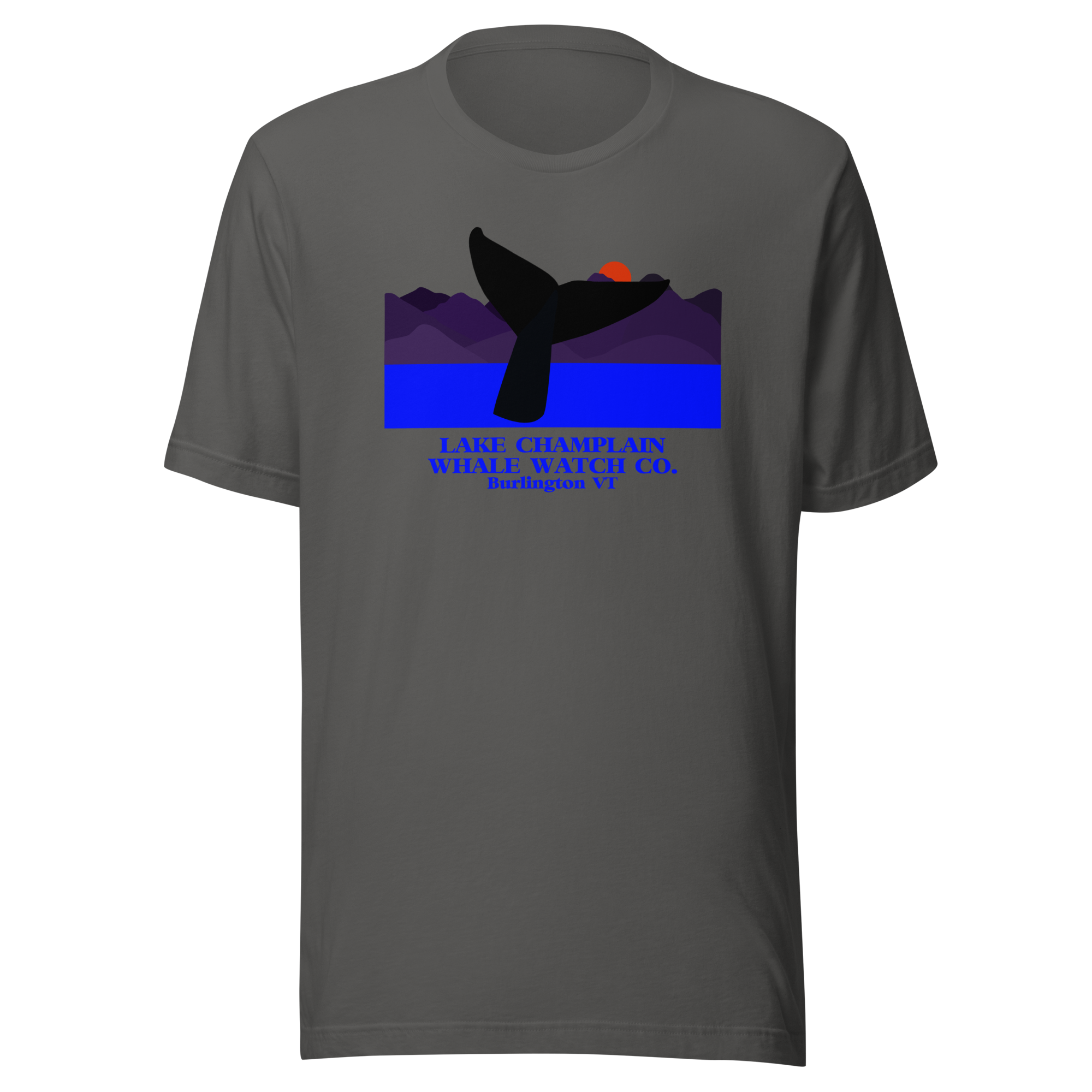unisex-staple-t-shirt-asphalt-front-68d3374966dcf.png