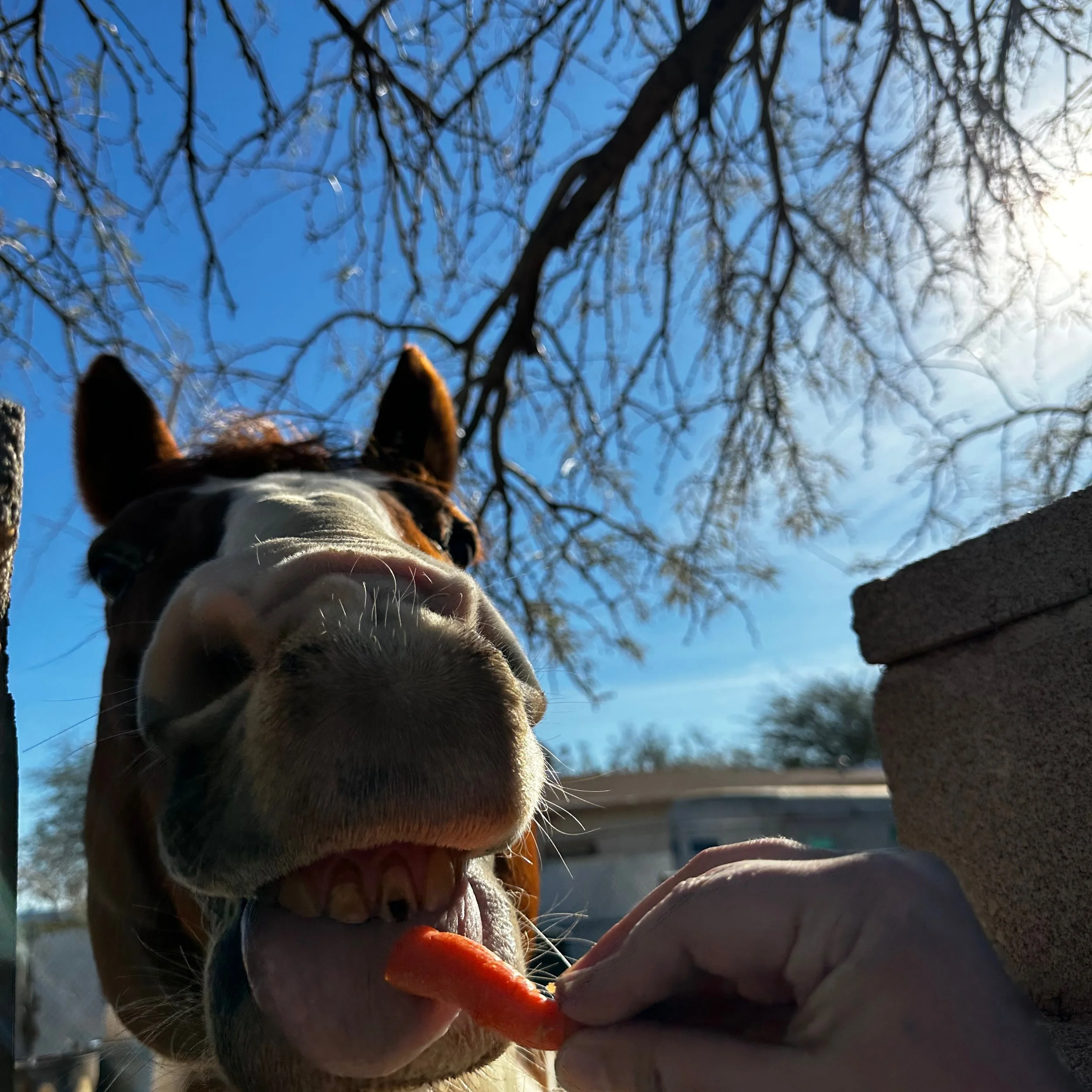 Big Heavy World Annual Meeting