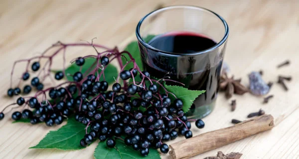Elderberry-syrup-recipe-i629391342-600x319.jpeg