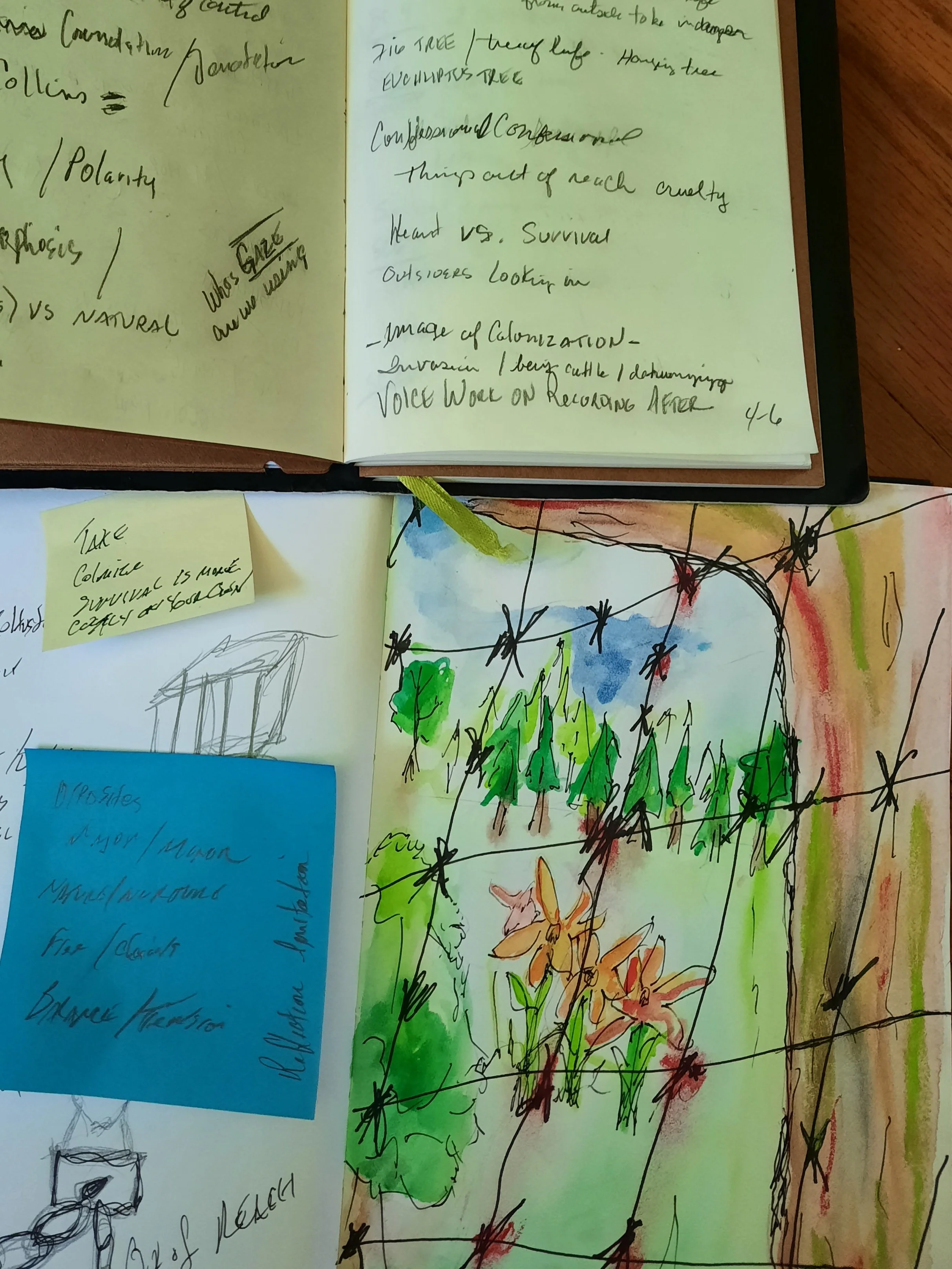 LESSONS FROM COLLABORATION (SO FAR): LISA WILEY