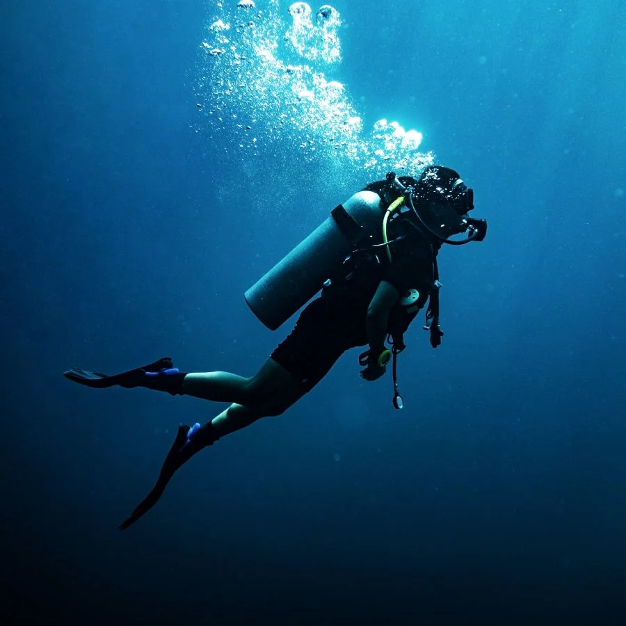 LOOK ALIVE, WE’RE GOING DEEP