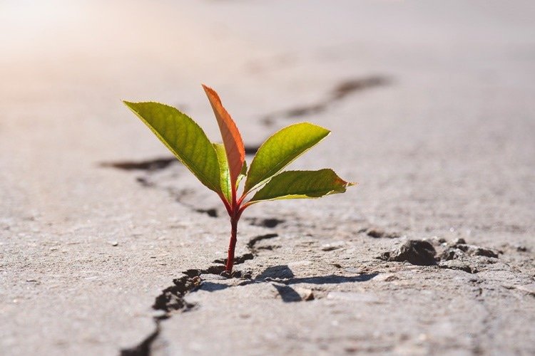 ACTOR SPOTLIGHT: PROCESS SIGNED, SEALED, DELIVER[ING] WITH JACKI DIETZ 