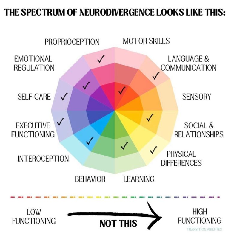 Color Wheel - Neurodivergence Spectrum.png