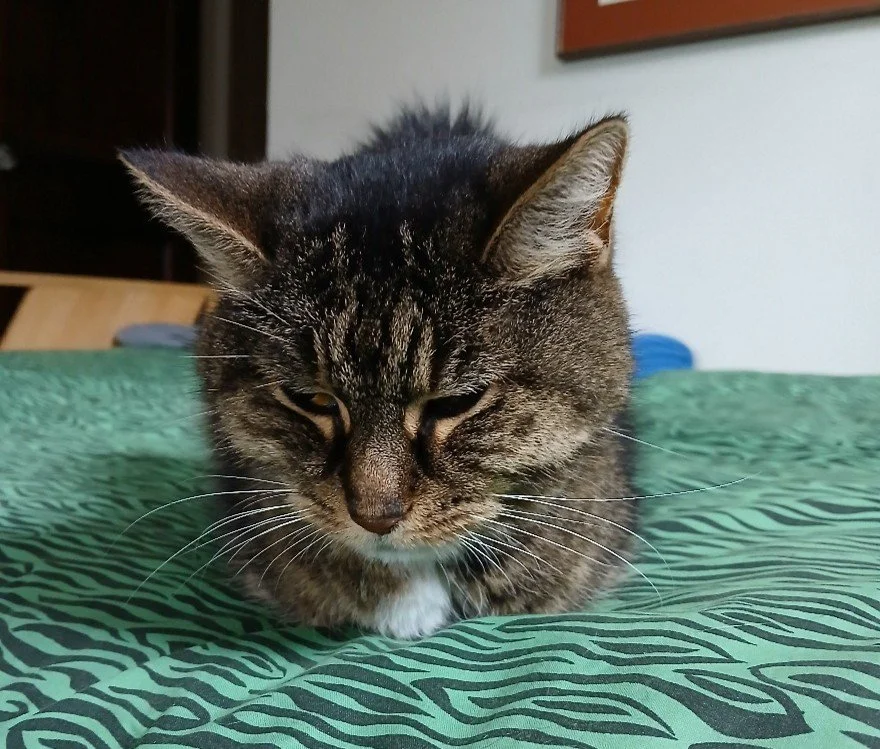 MOVING TO EXCITEMENT, BY ROLAND MOORE