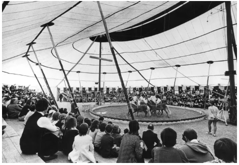 DISCOVERING THE WORLD OF ELEPHANT'S GRAVEYARD - BY STACEY COSTANZO