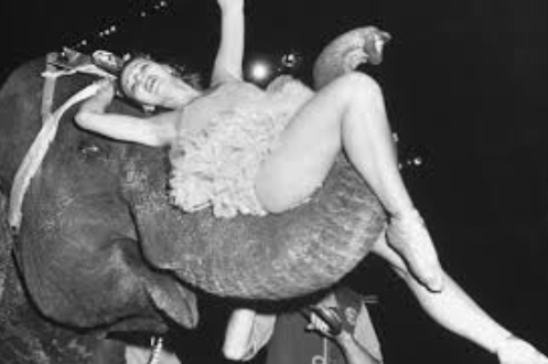 FINDING MY PLACE IN A NEW HERD - BY TRICIA BESTIC