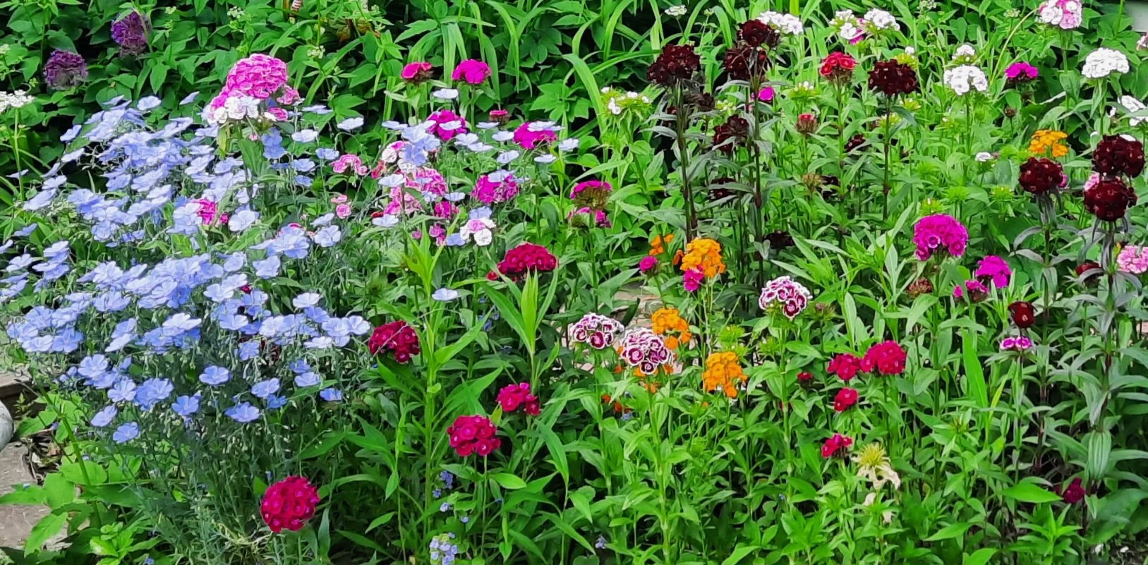DIRECTING AS GARDENING - BY LISA L. WILEY