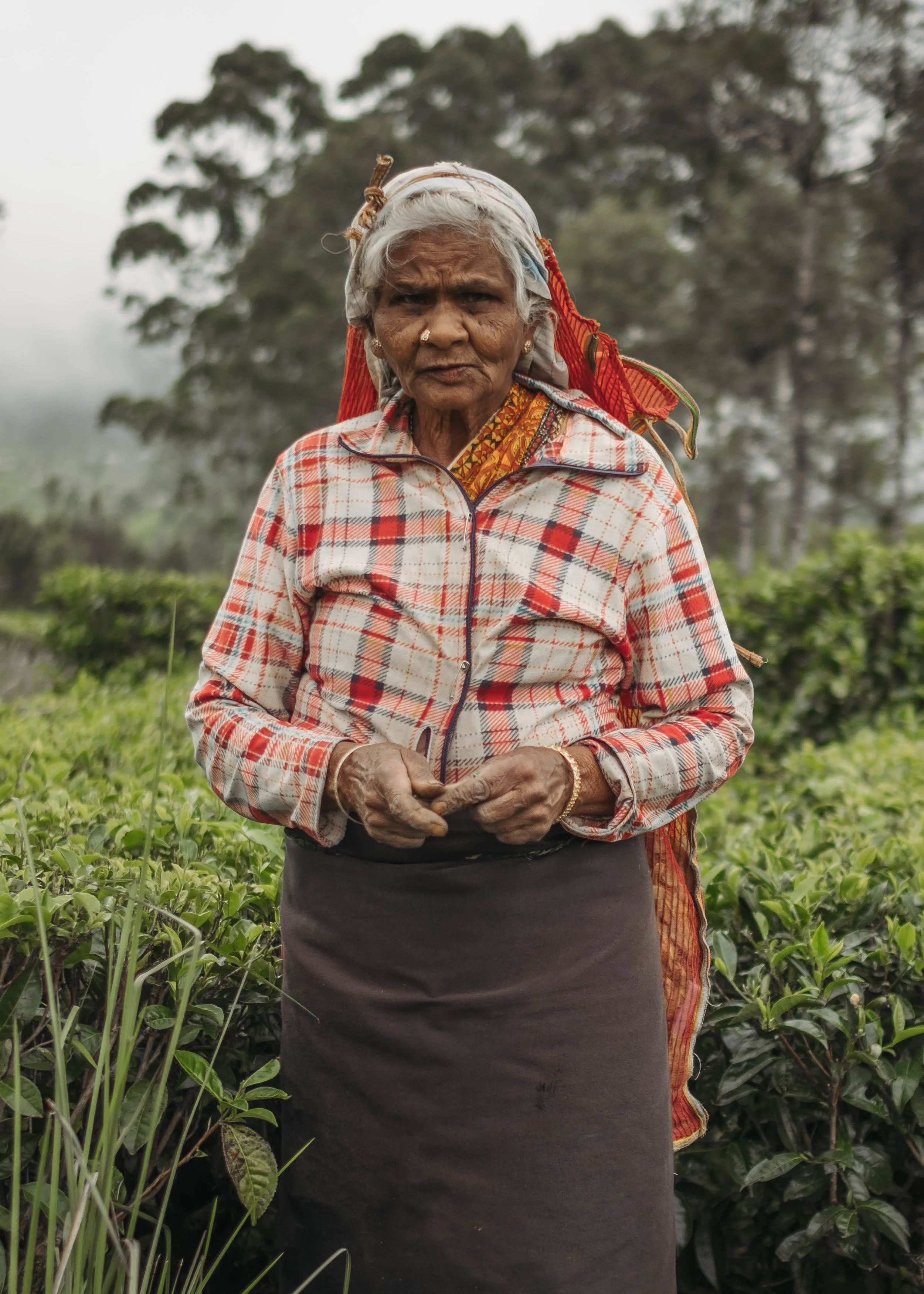 Ella, Sri Lanka.