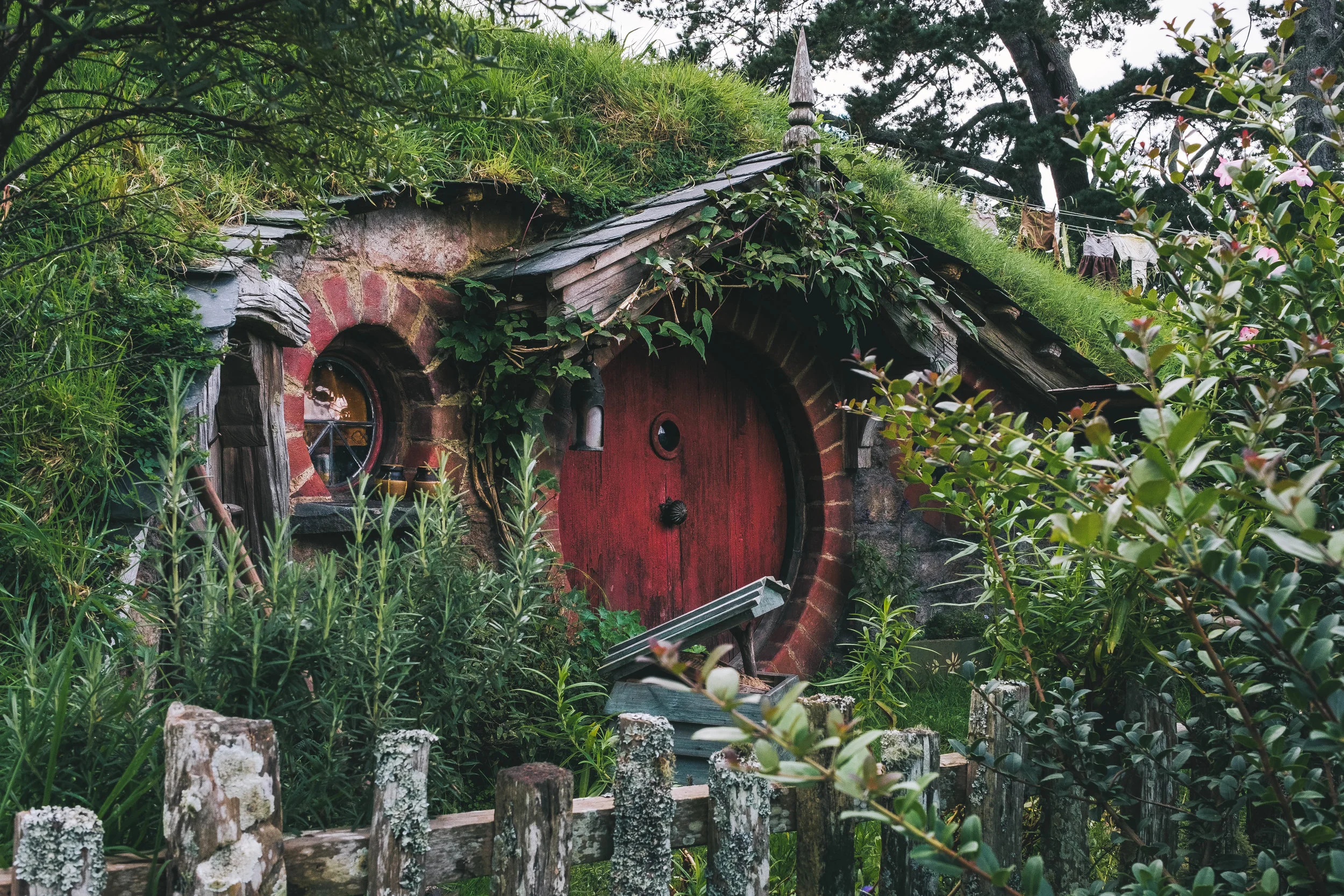 Hobbition, New Zealand.