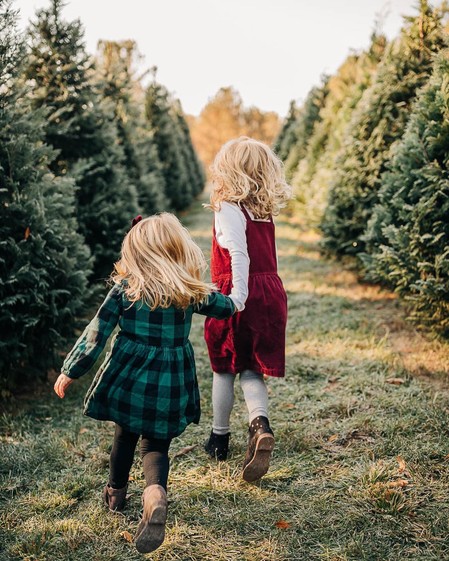 Check your inbox! These babies are going out friends. Loved our morning and evening among the trees at @hickorycreekfarmnc. Thanks for trusting me with 15 minutes to capture your sweet little ones. I appreciate that you come ready to bring the fun wi