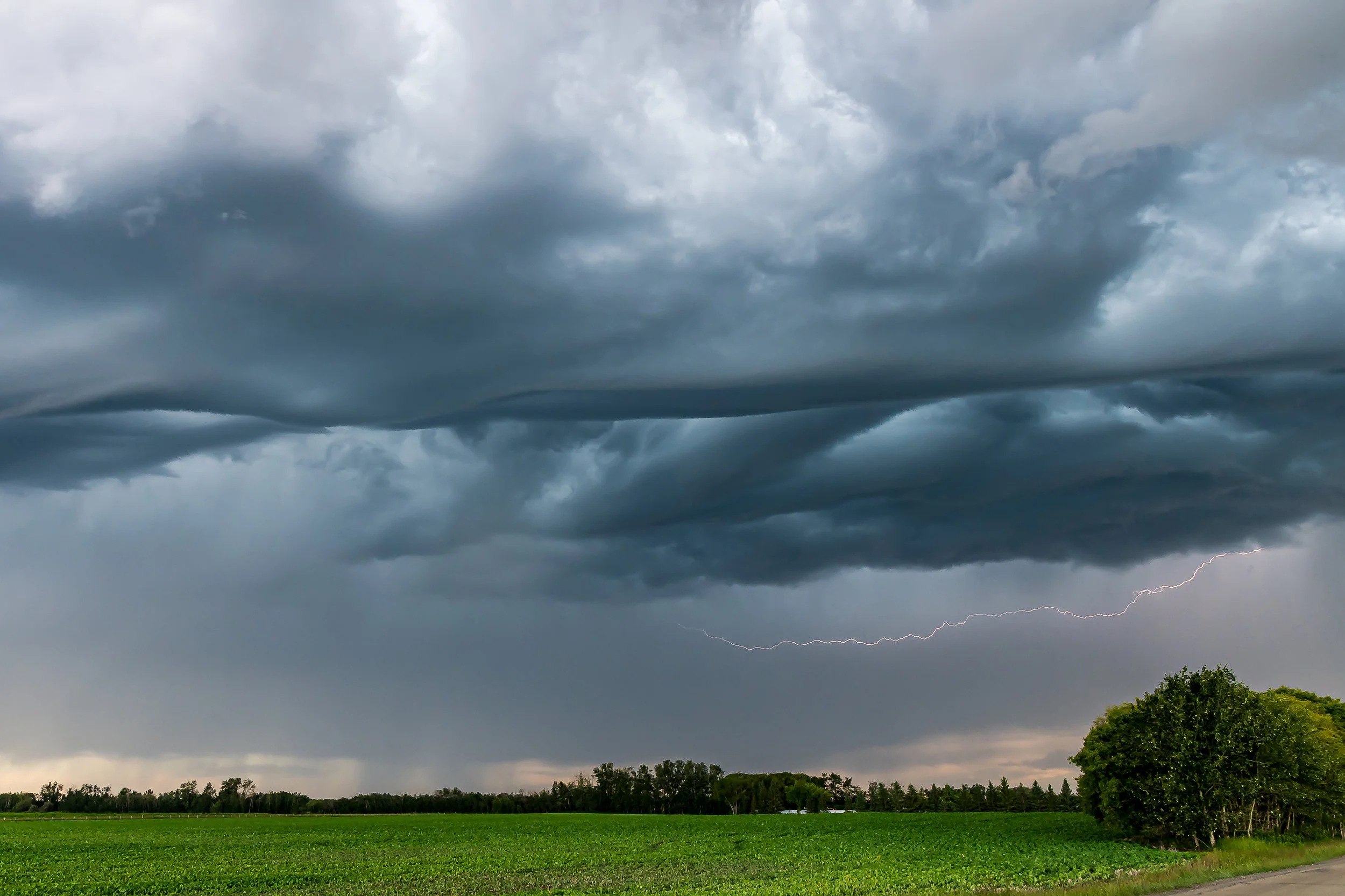 DSC_7002-Edit.jpg