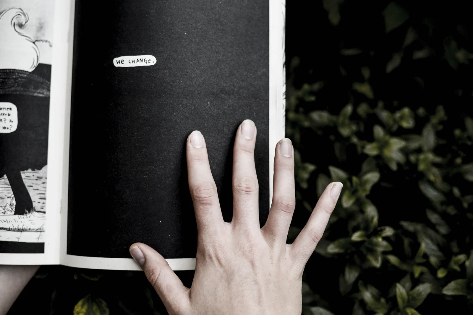 Book4(1).jpg