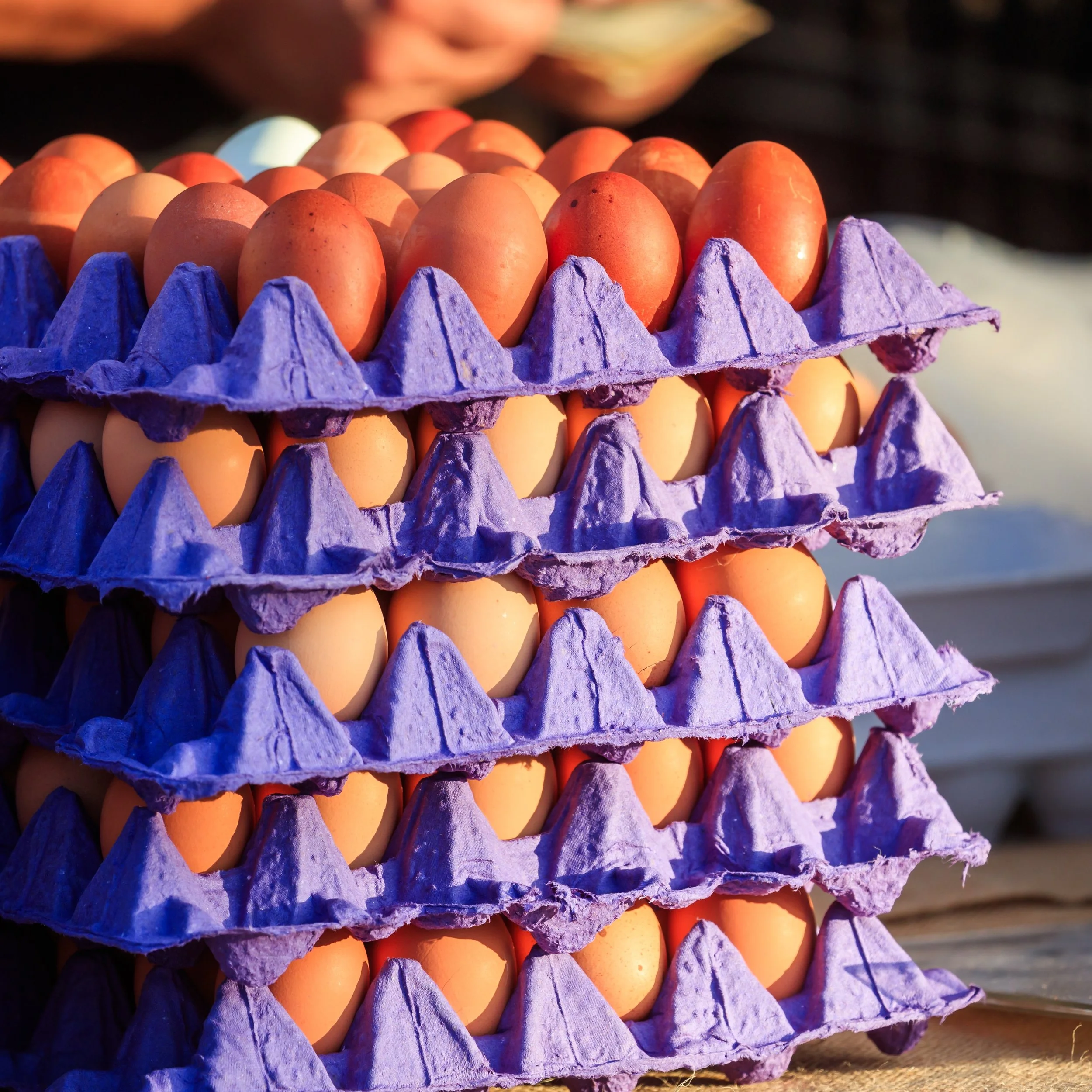 Your Tuesday plans just got better. 🌴

Spend the evening exploring HB&rsquo;s only certified farmers market with fresh produce, local artisans, specialty food vendors, live music, and exclusive shopping and dining specials from your favorite Main St