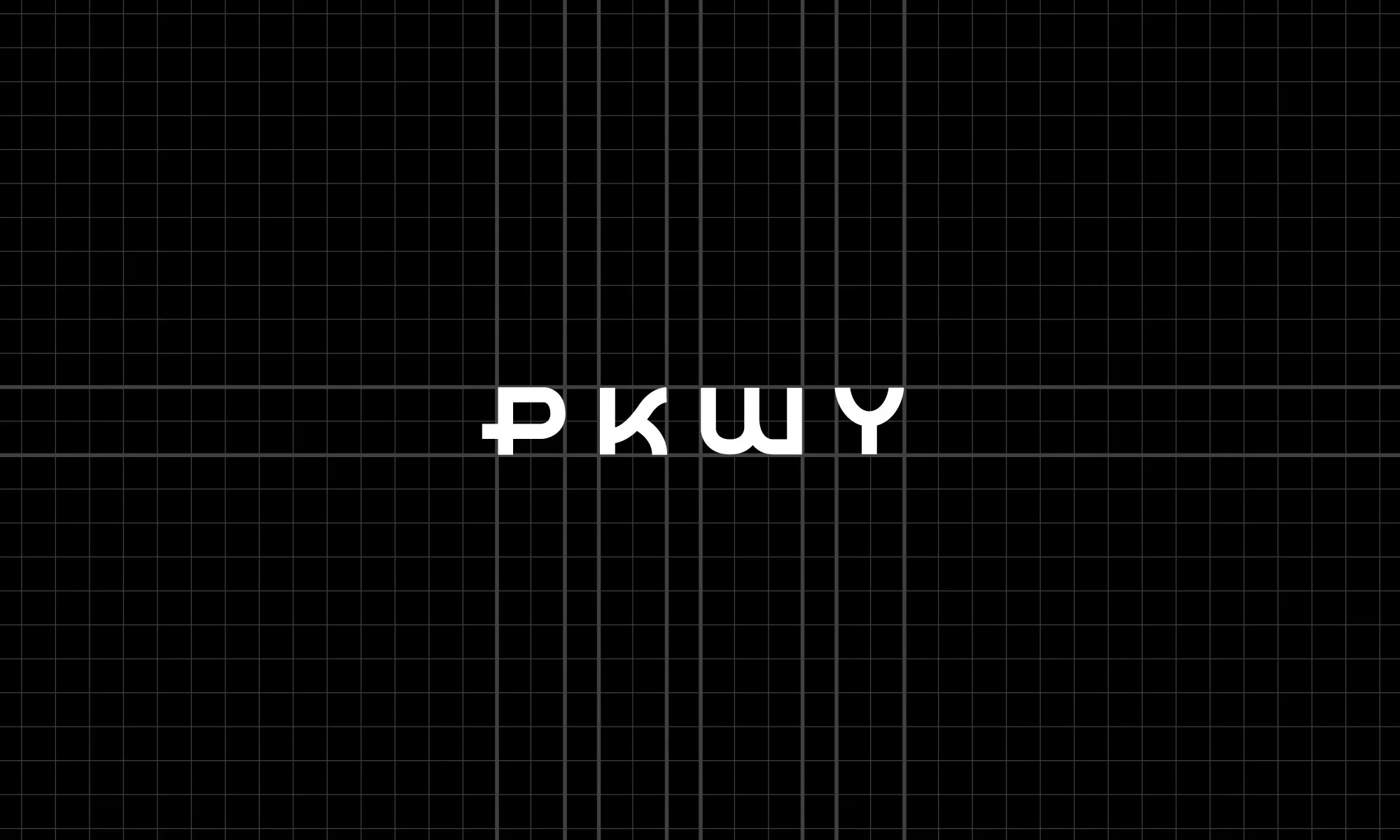 Noah-Levy-PKWY-socks-branding-2.jpg