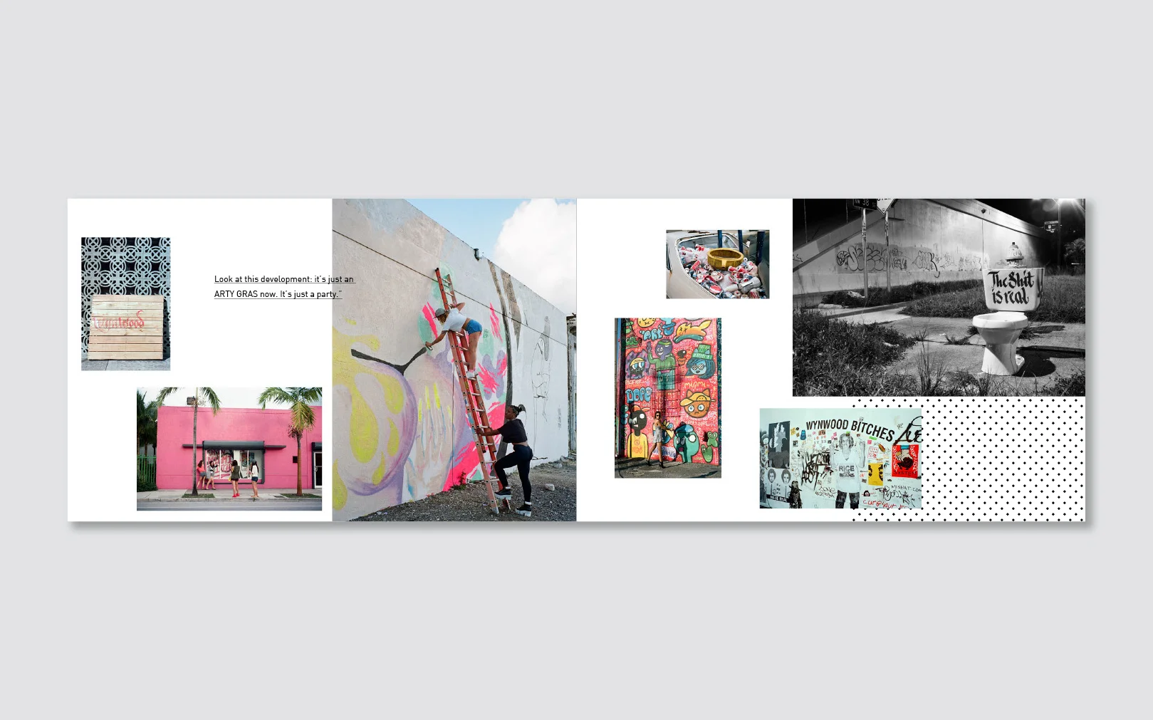 Noah-Levy-ArtyGras-Wynwood-Miami-Book-3.jpg