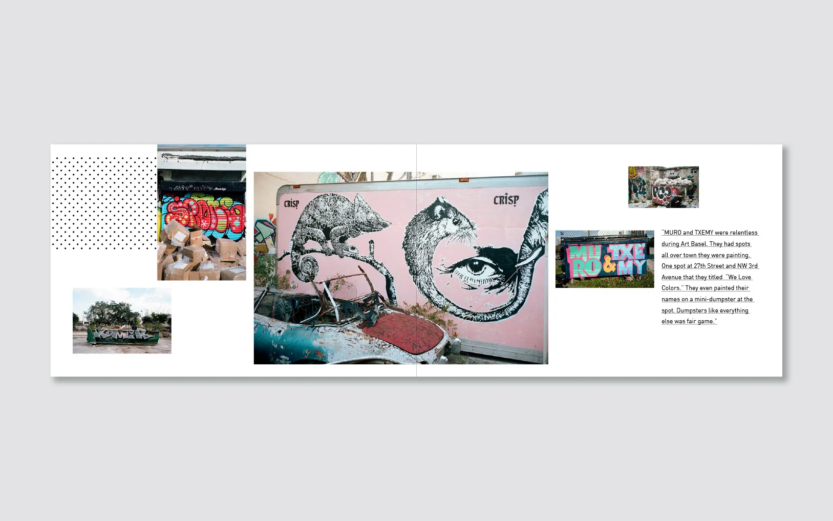Noah-Levy-ArtyGras-Wynwood-Miami-Book-7.jpg