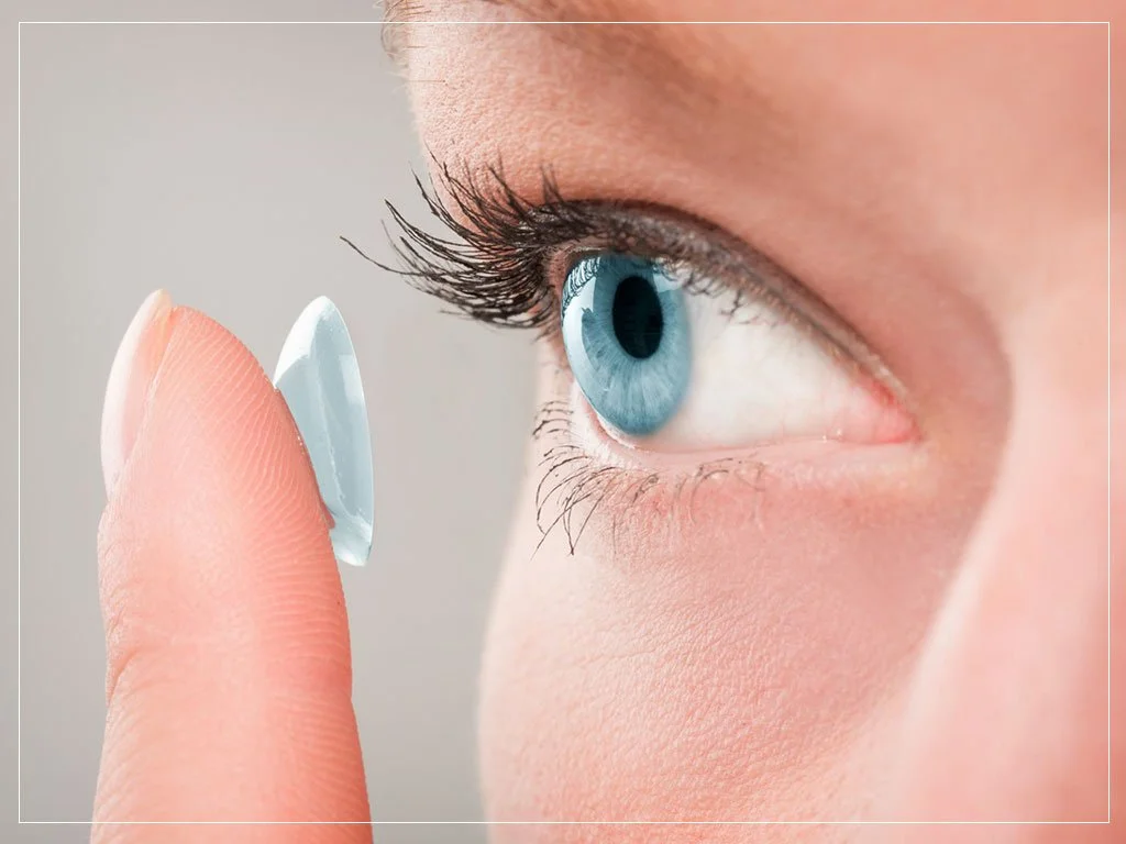 Contacts