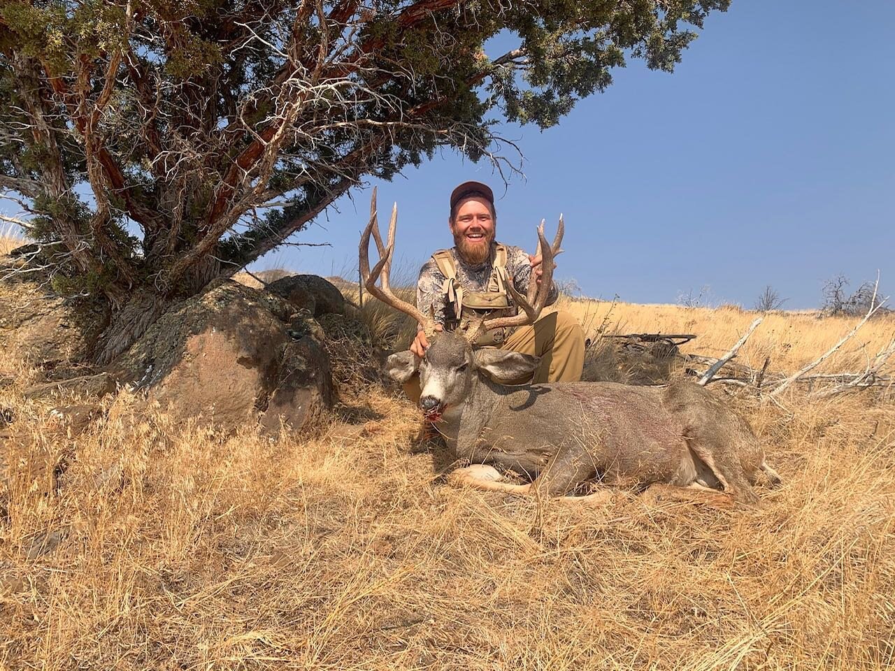 Mike&rsquo;s buck from X5b. I occasionally get to hunt with father-son duos. It&rsquo;s always a great time making memories. 

#muledeer #muledeerhunting #californiadeerhunting #californiamuledeer #x5b