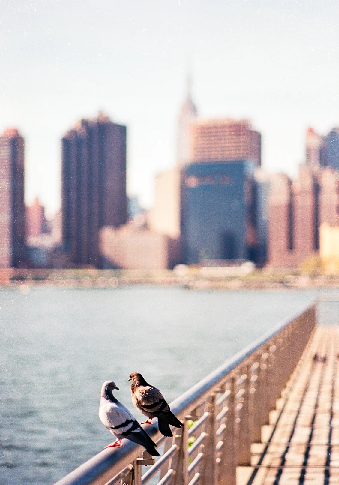 Long Island City (Gantry Park), Queens.