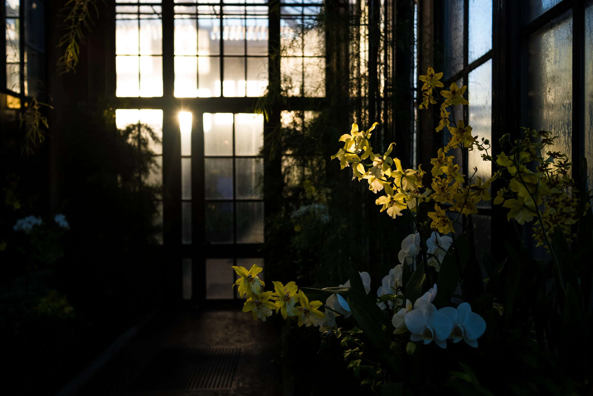 L1008674.jpg