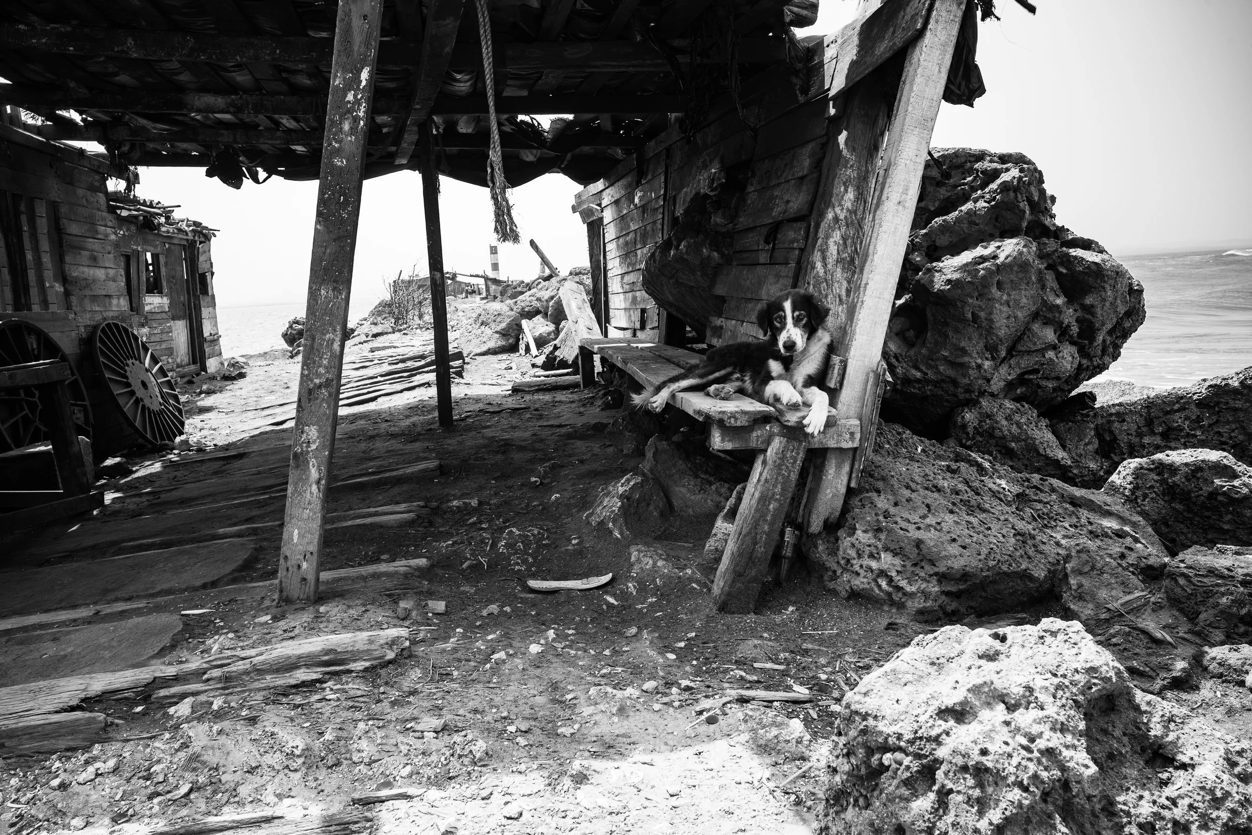 L1008967.jpg