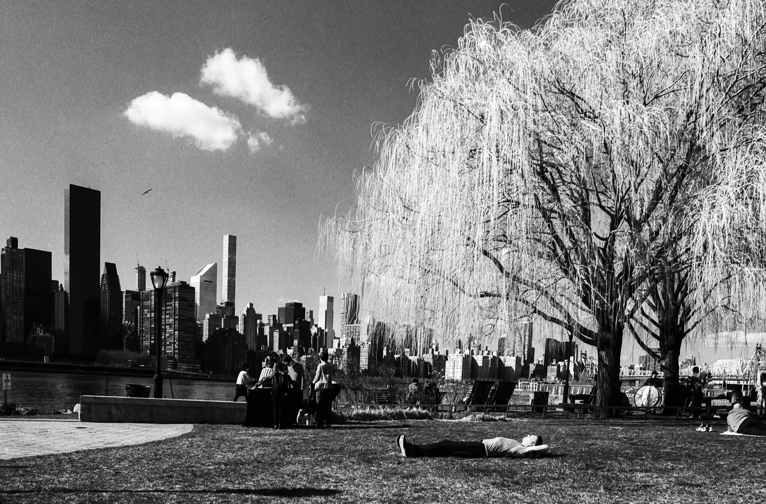 Ilford_HP5_Plus_ISO_400_04_08_2019_123.jpg