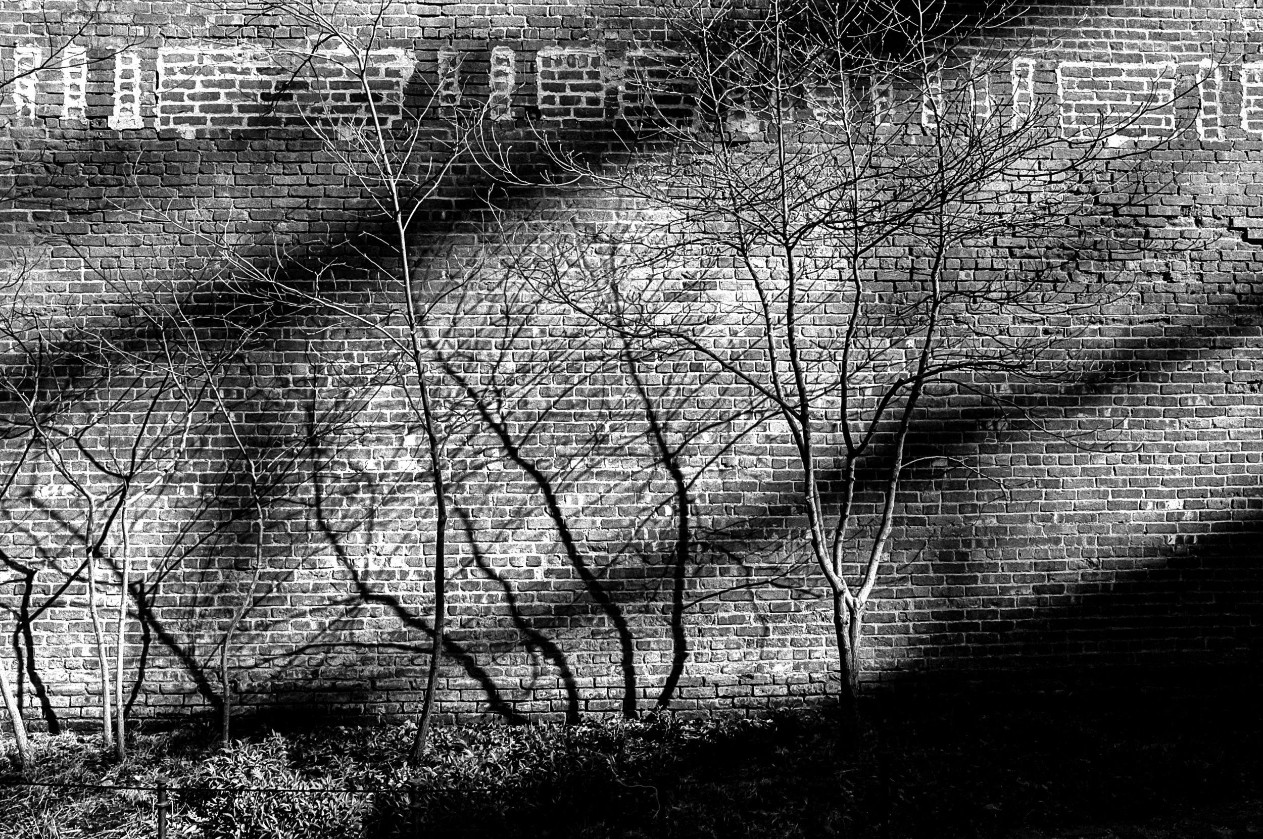 Ilford_HP5_Plus_ISO_400_04_08_2019_165.jpg
