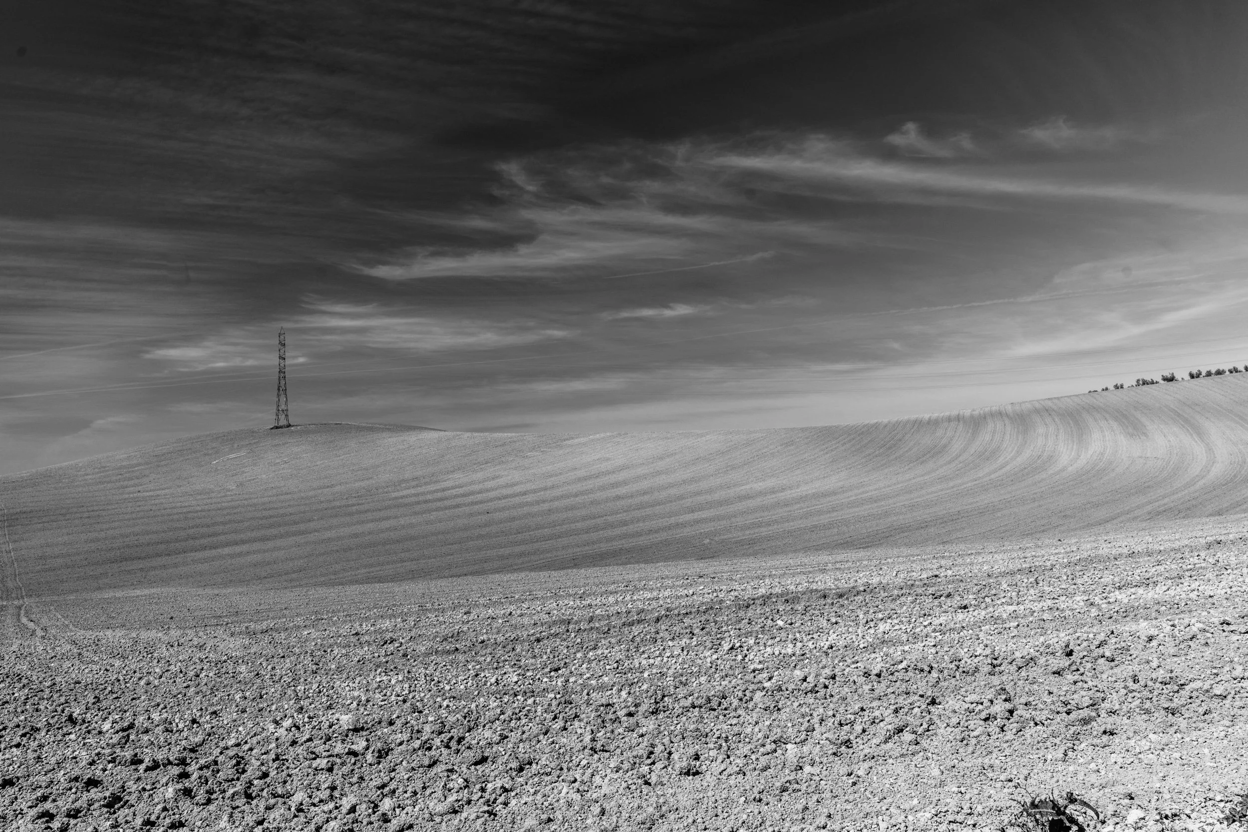 _DSC6293.jpeg