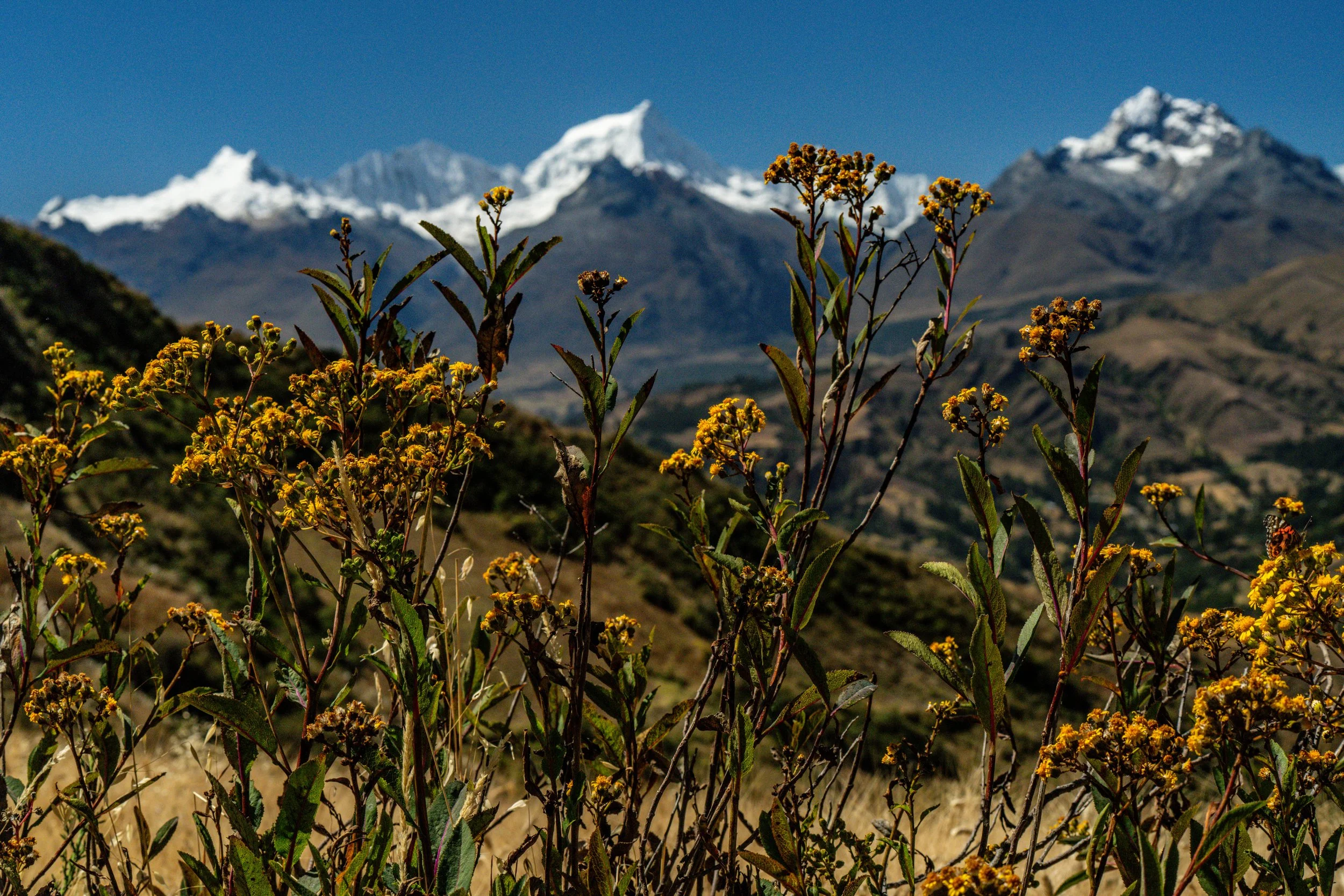 Pre-trek hike #1: Laguna Wilcacocha.