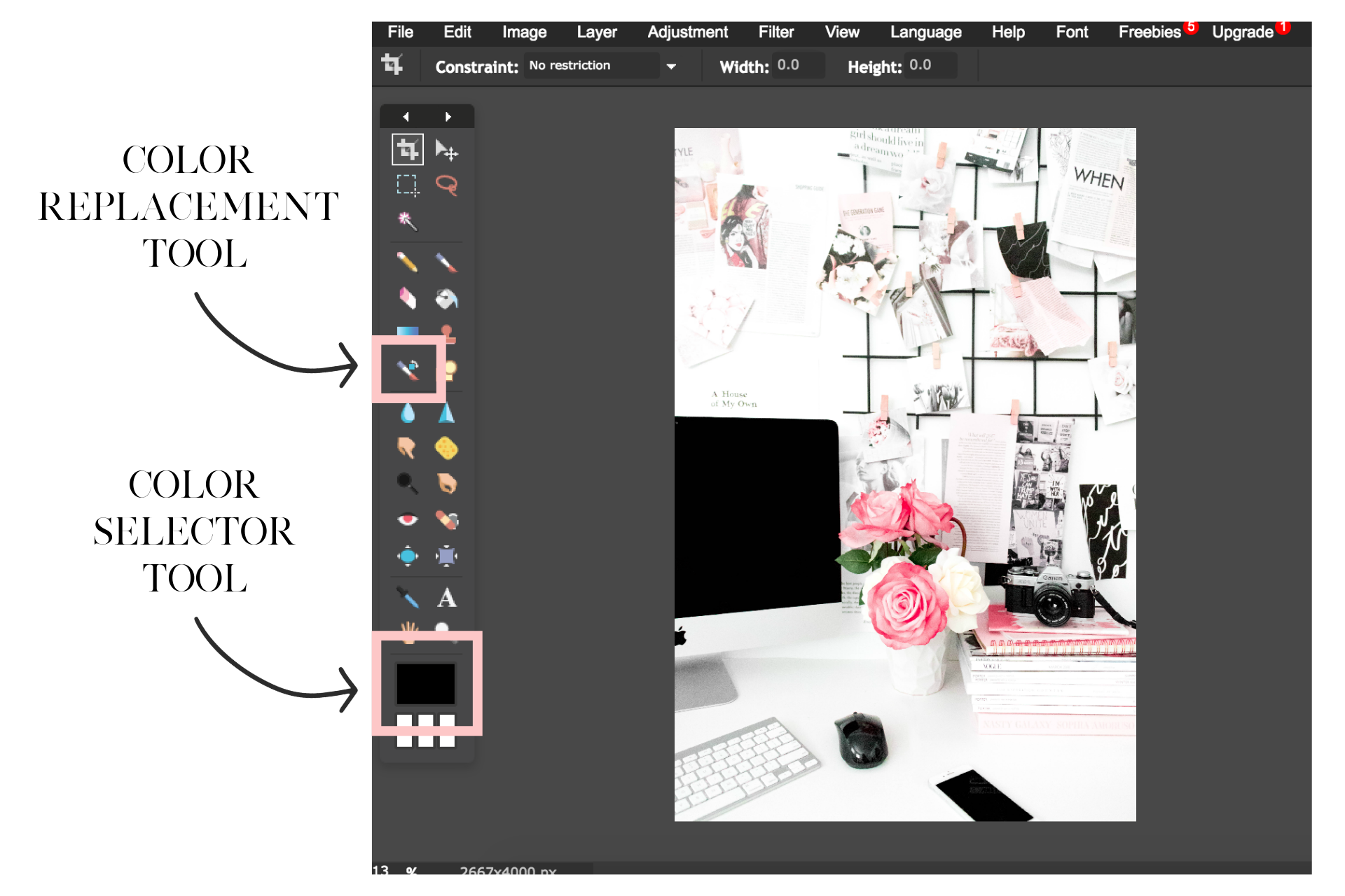 pixlr+tutorial.png