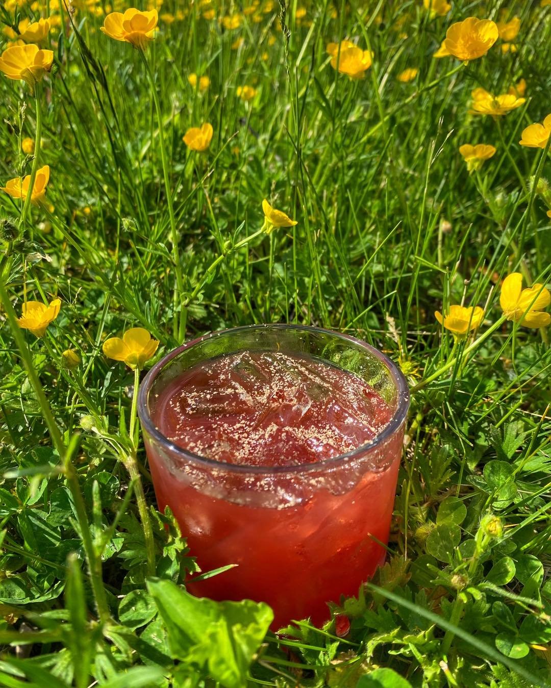 🫐 J&amp;M Blueberry Punch 🫐 

This refreshing cocktail is made with Plantation Pineapple Rum, Woodenvile Bourbon, Fresh Lemon,  Averna, Wild Blueberry/ Chamomile Syrup, Angostura Bitters, Shaved Nutmeg 

#signaturecocktails #springcocktails