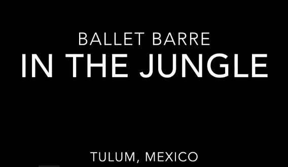 Join me in the Jungle for Ballet Barre (Mondays 5-6PT)