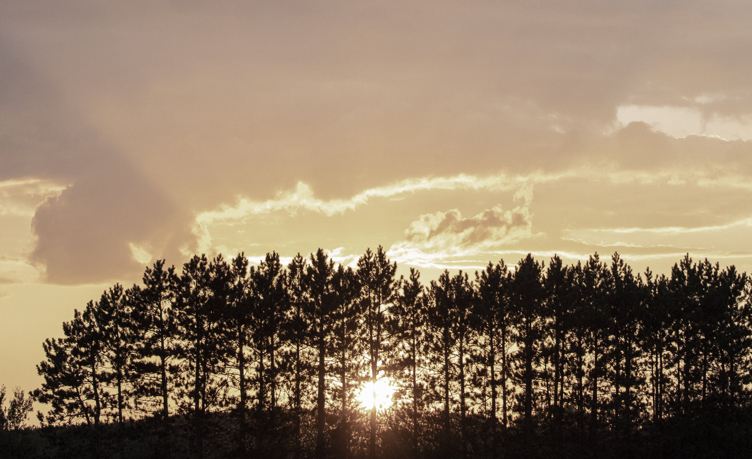 nw sunset 3.jpg