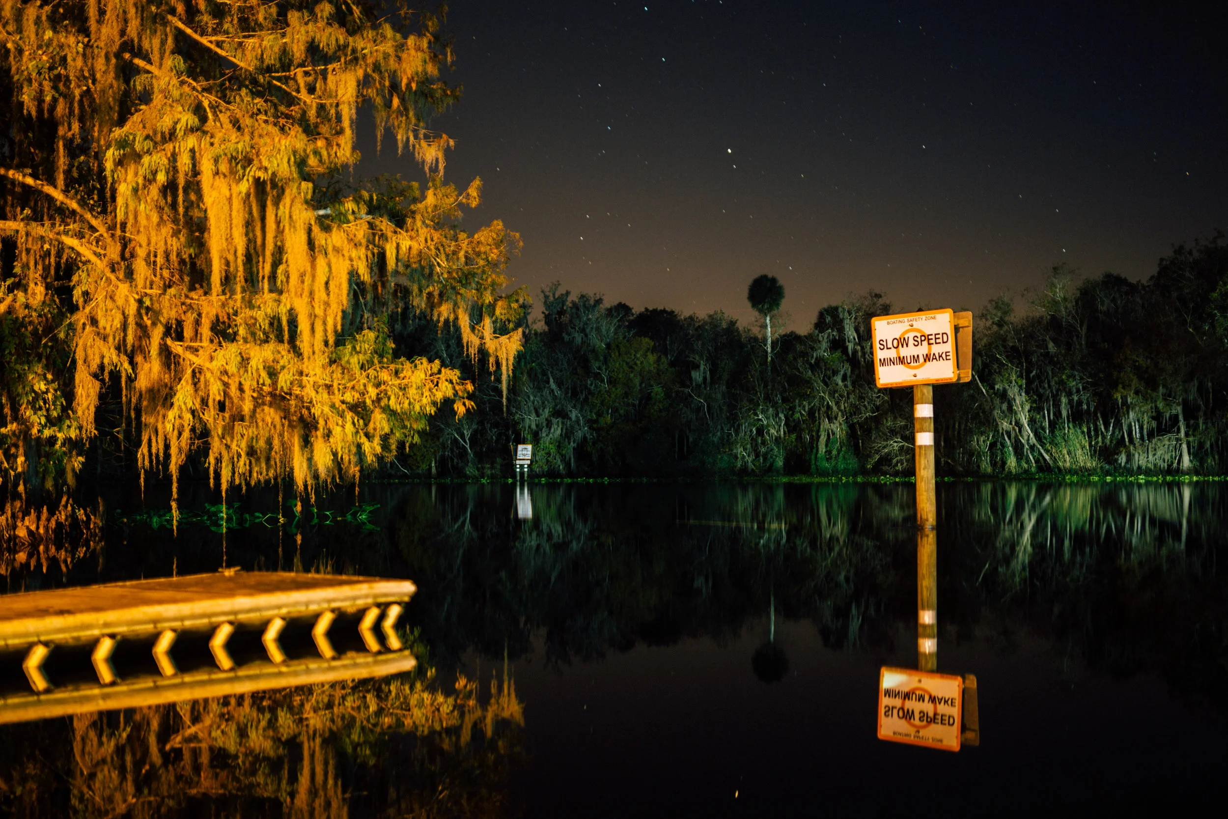 Florida-0774.jpg