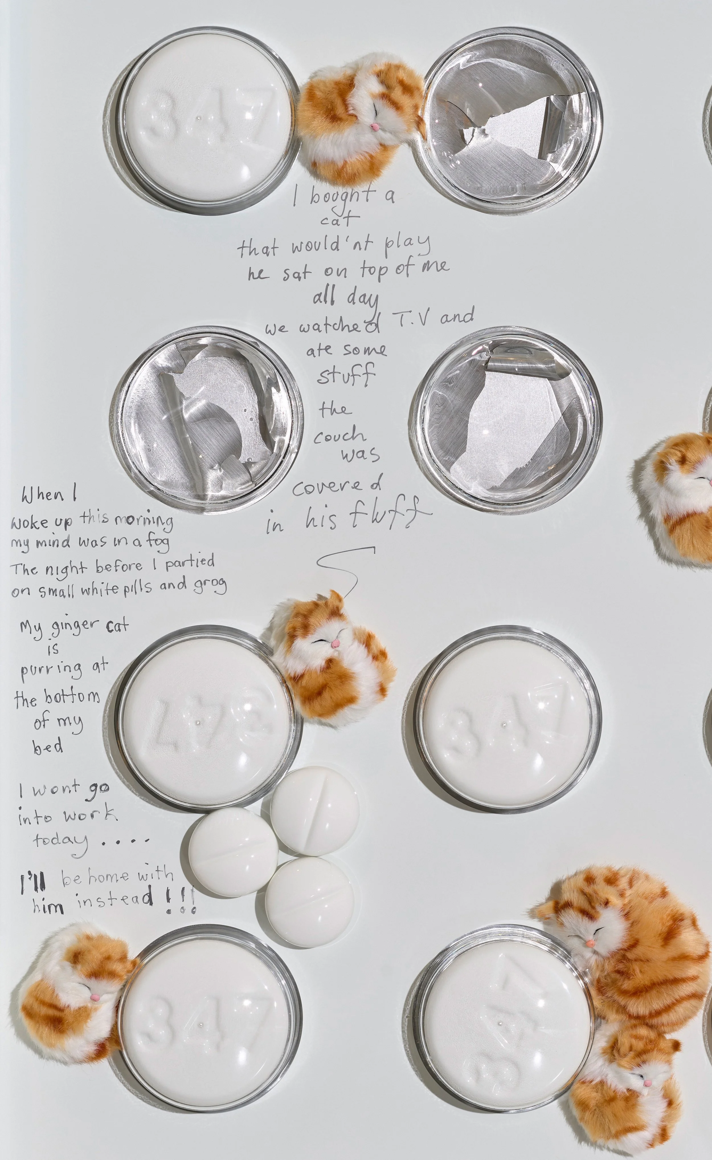 White with Cats 005-25.03.17 Coady Art54255-James Pyne Photography.jpg