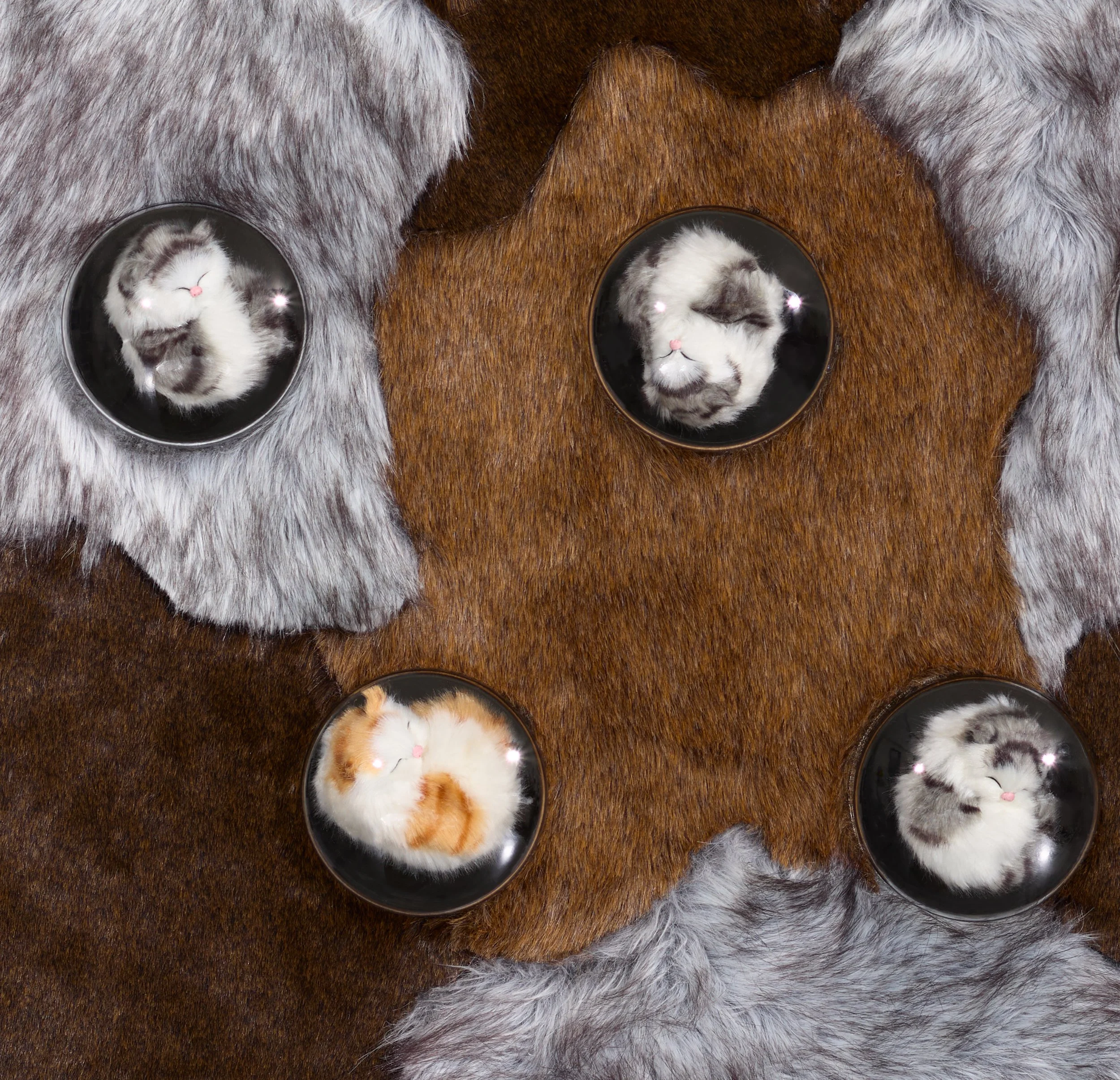 A25.03.03 Coady Art53479.jpg