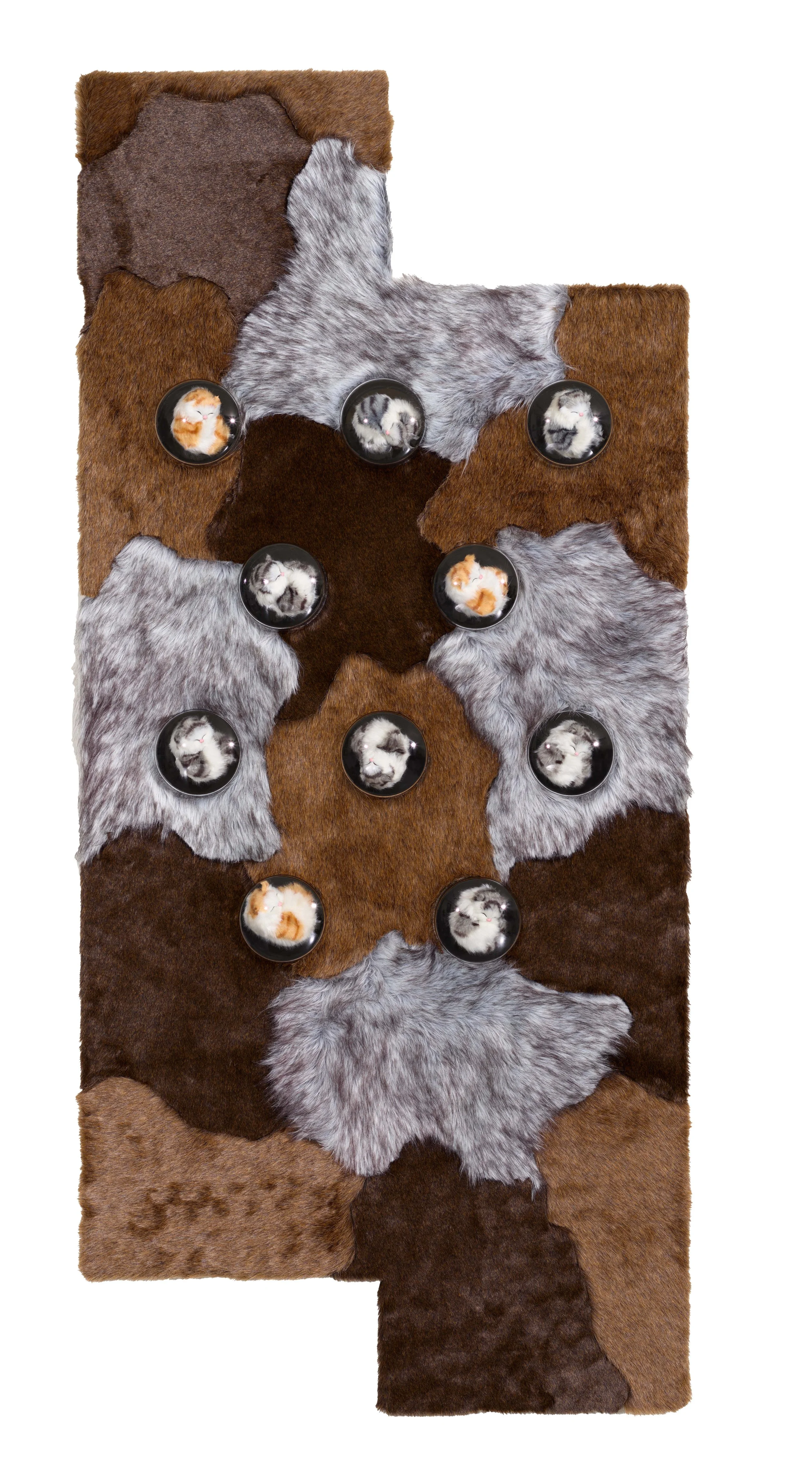 A25.03.03 Coady Art53479.jpg