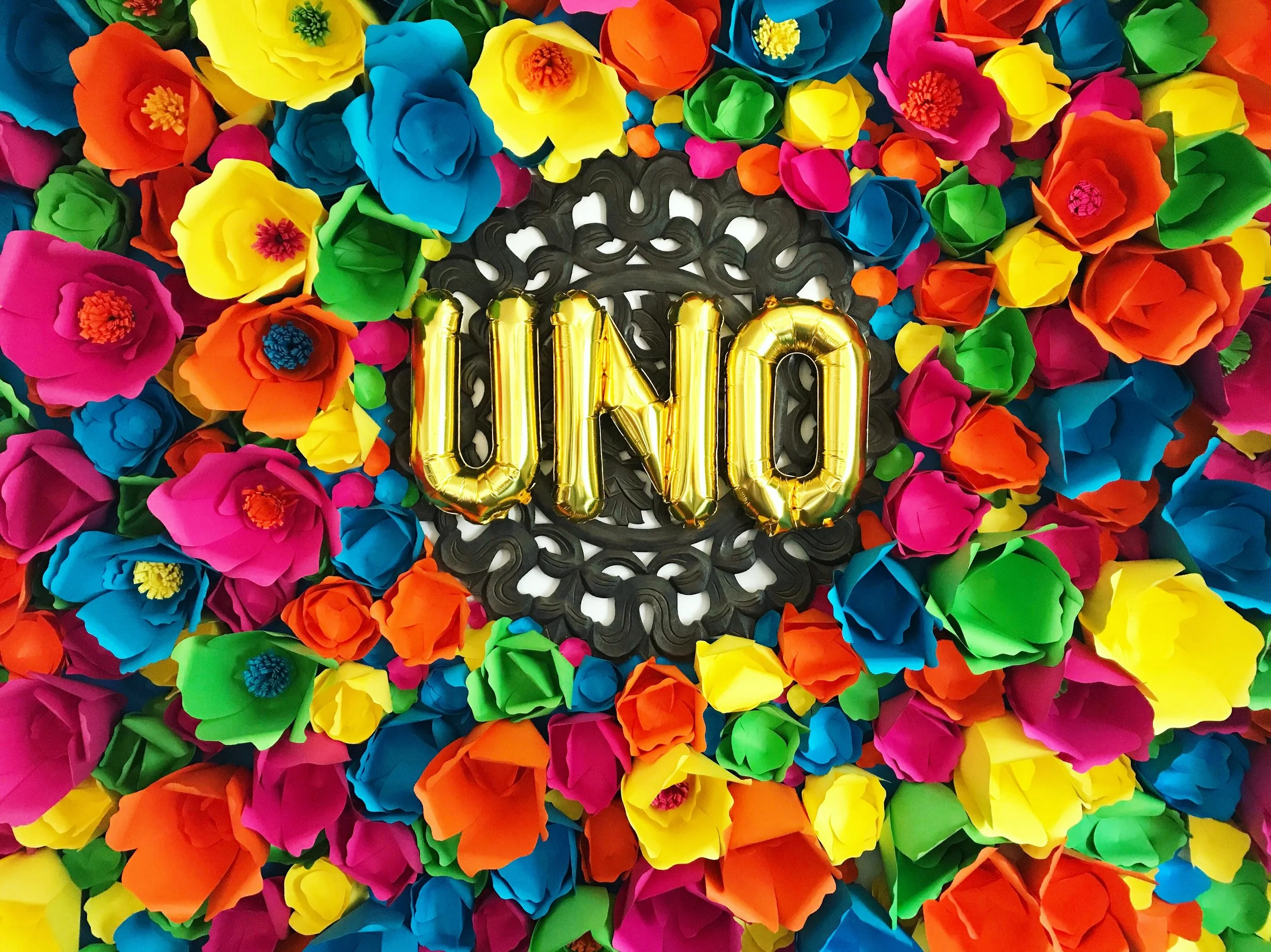 Fiesta Backdrop