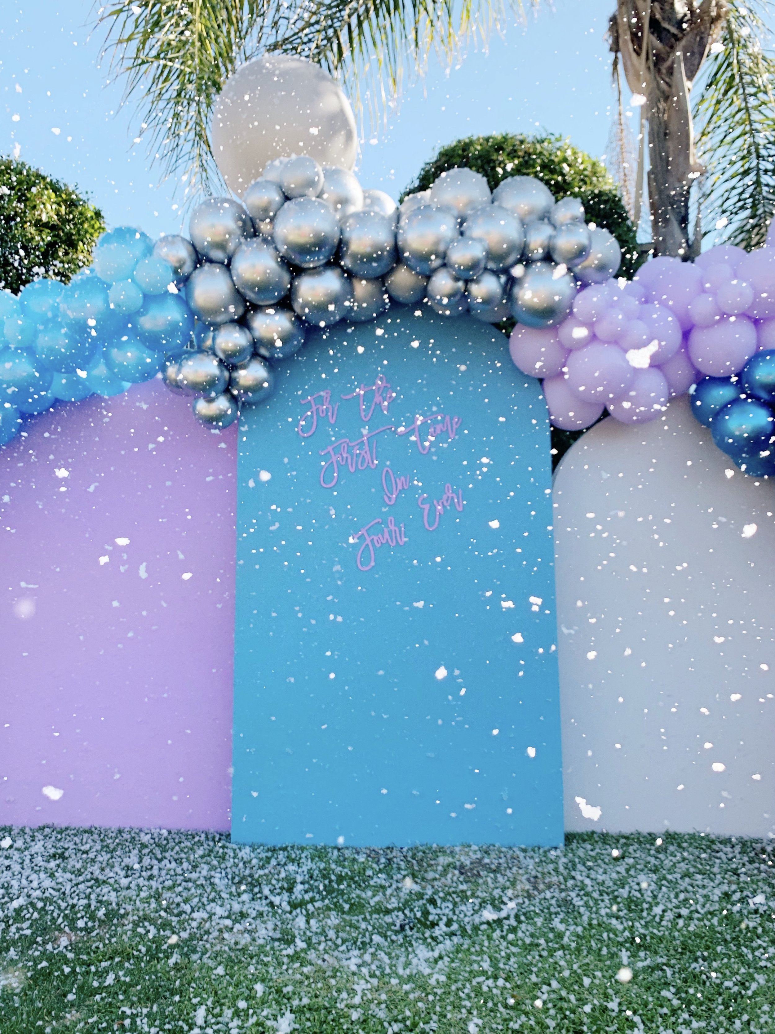 Frozen Party
