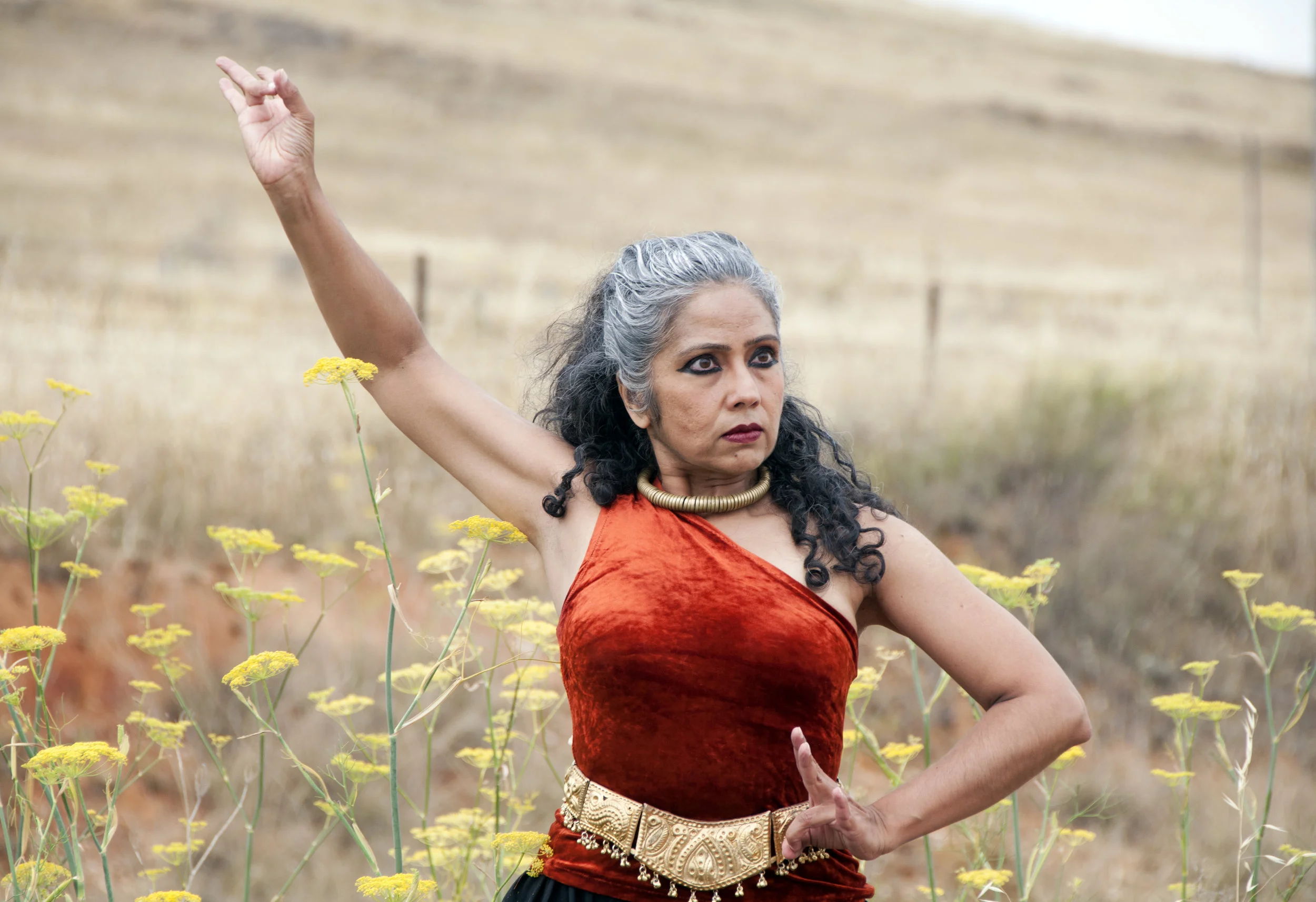 The Rasa experience in Indian dance