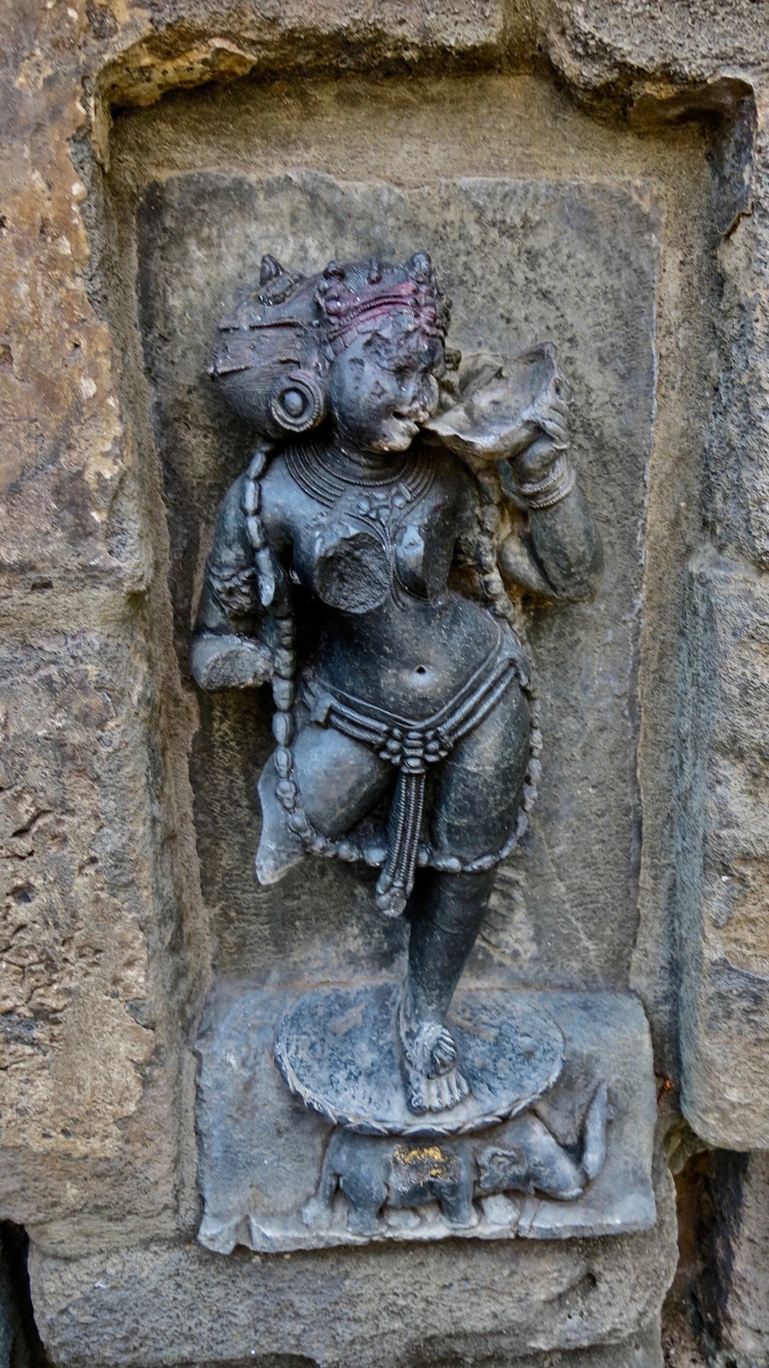 Yogini of the Rakshasa self