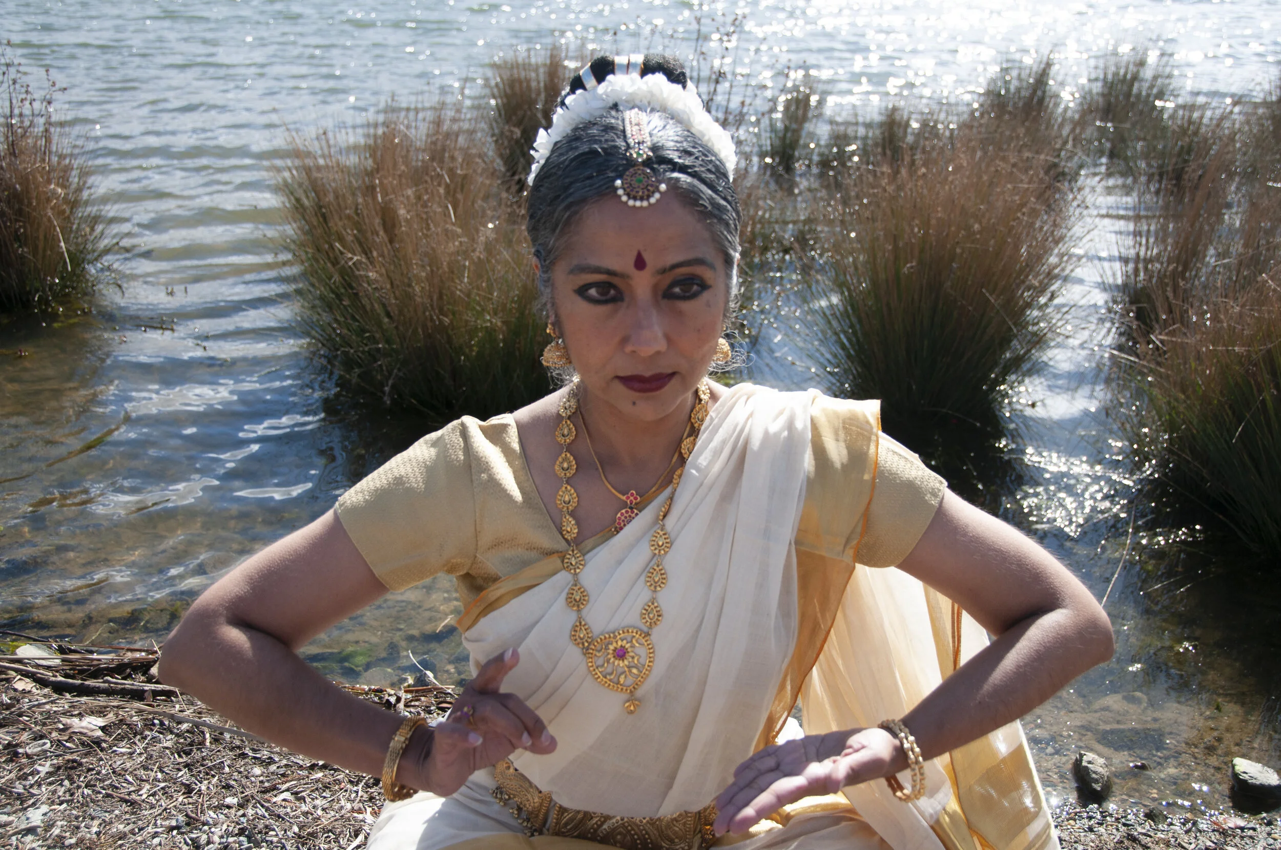 Saraswathi: The river of Consciousness