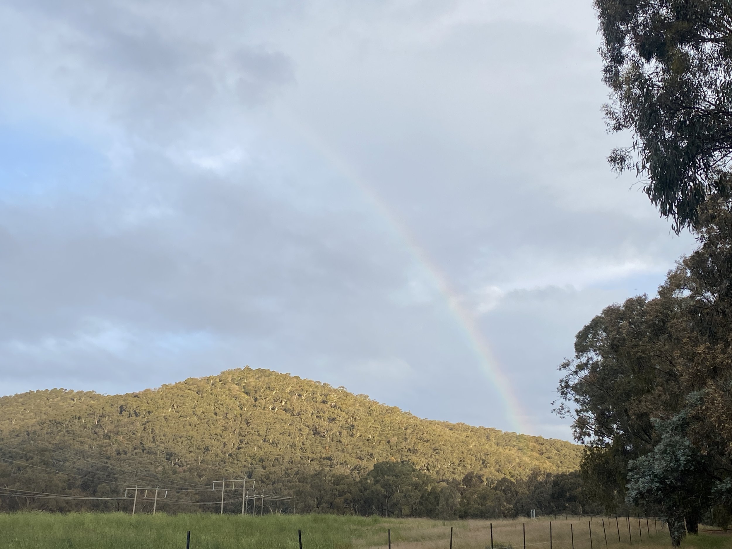 We have made the Divine into mental acrobatics. 