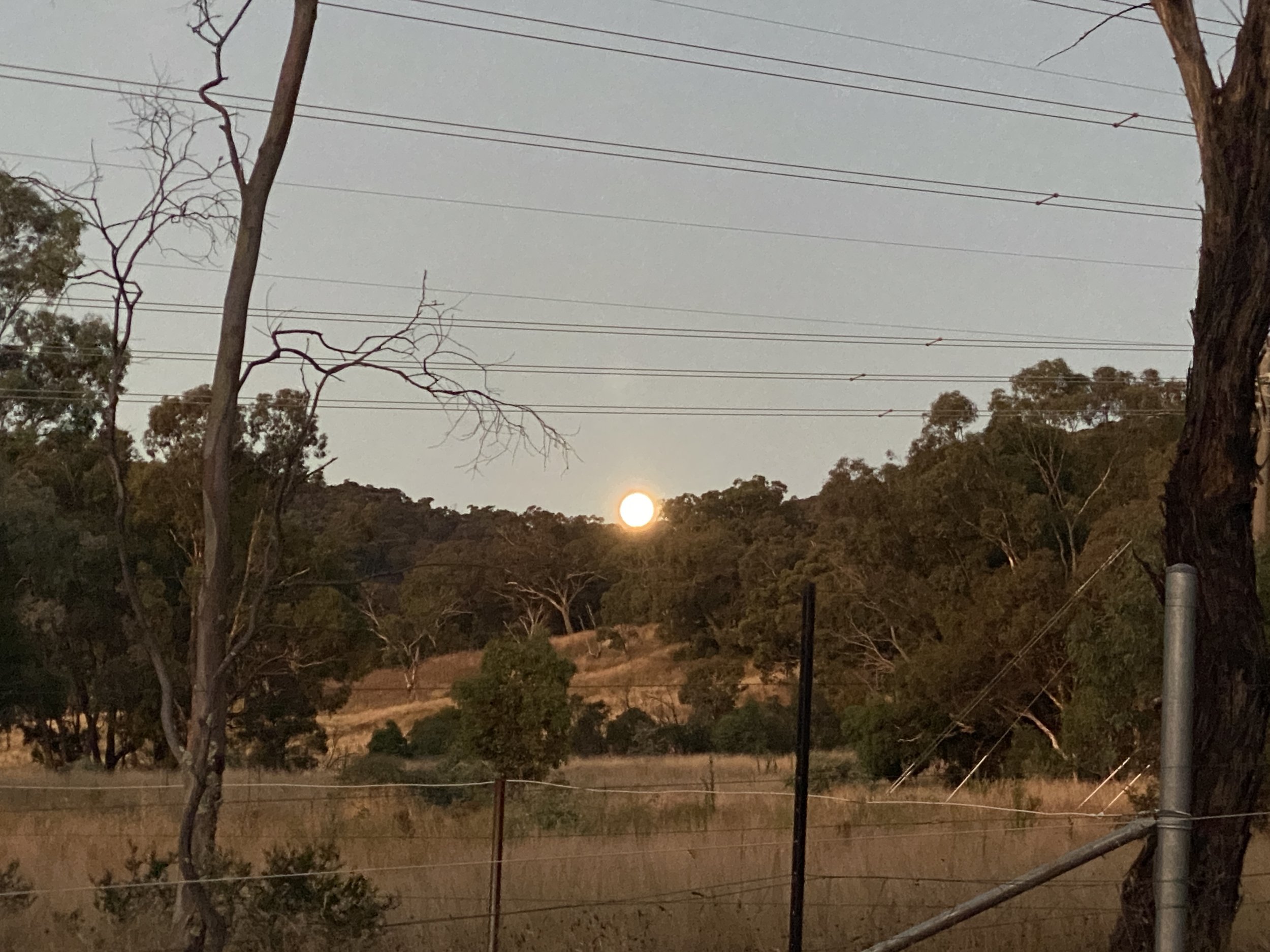 A full moon night and possums’ teaching
